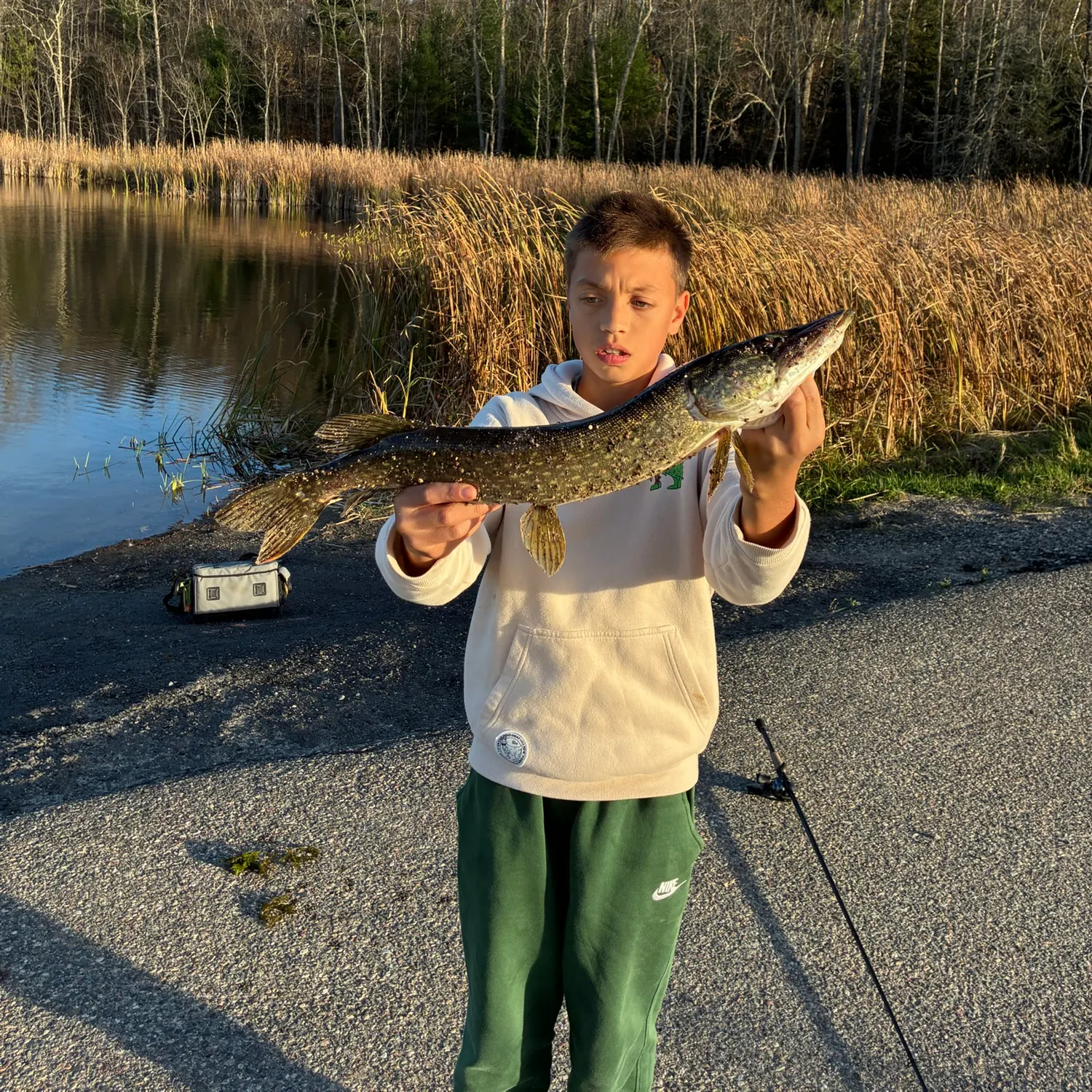Northern pike caught on Fishbrain