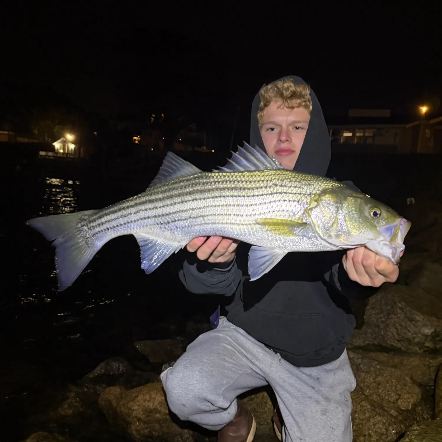 Striped bass caught on Fishbrain