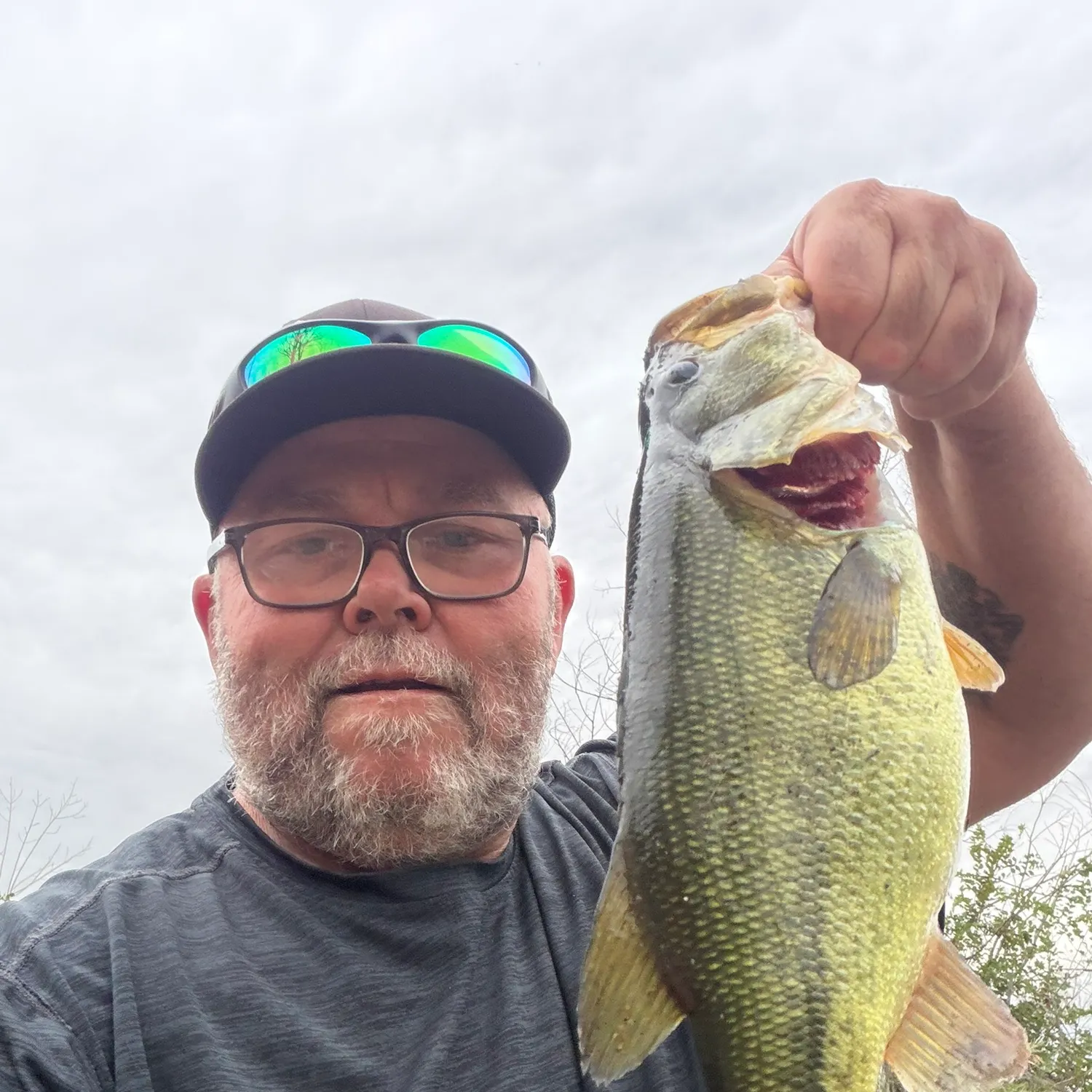 Largemouth bass caught on Fishbrain