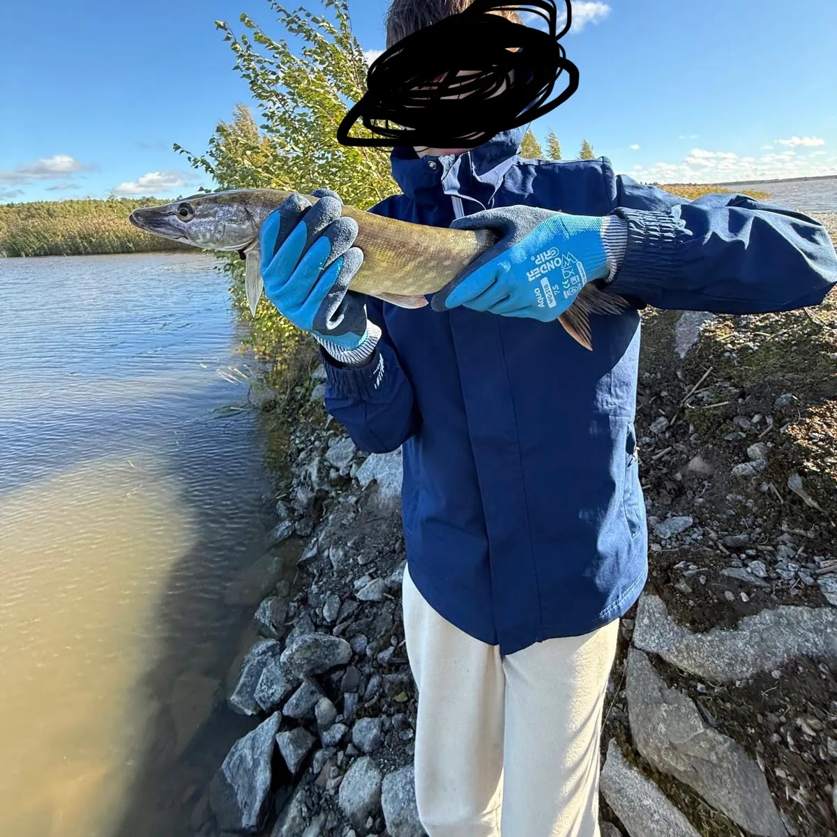 Northern pike caught on Fishbrain