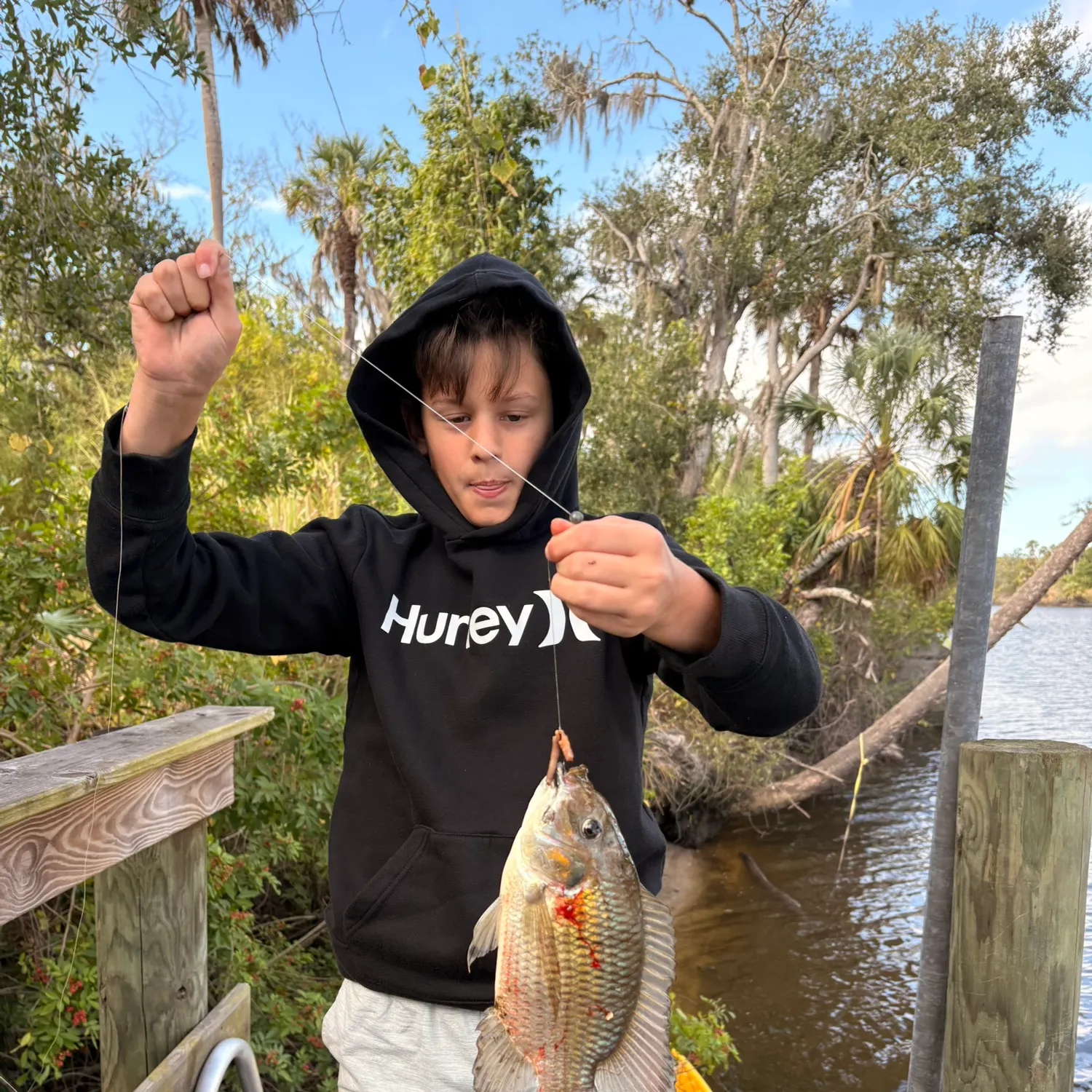 The most recent Redbreast tilapia catches on Fishbrain