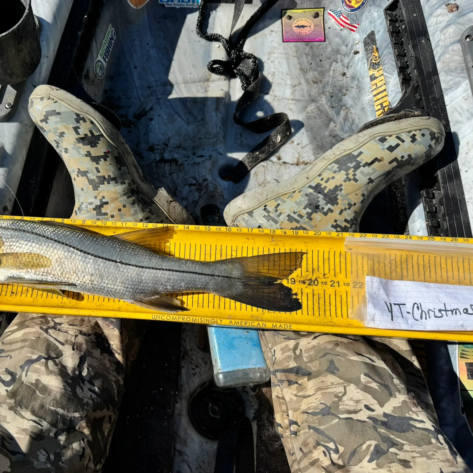 recently logged catches