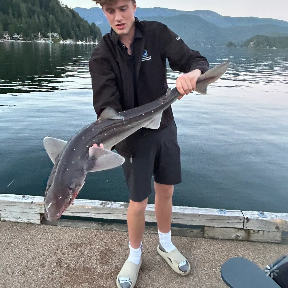 The most recent Pacific spiny dogfish catches on Fishbrain