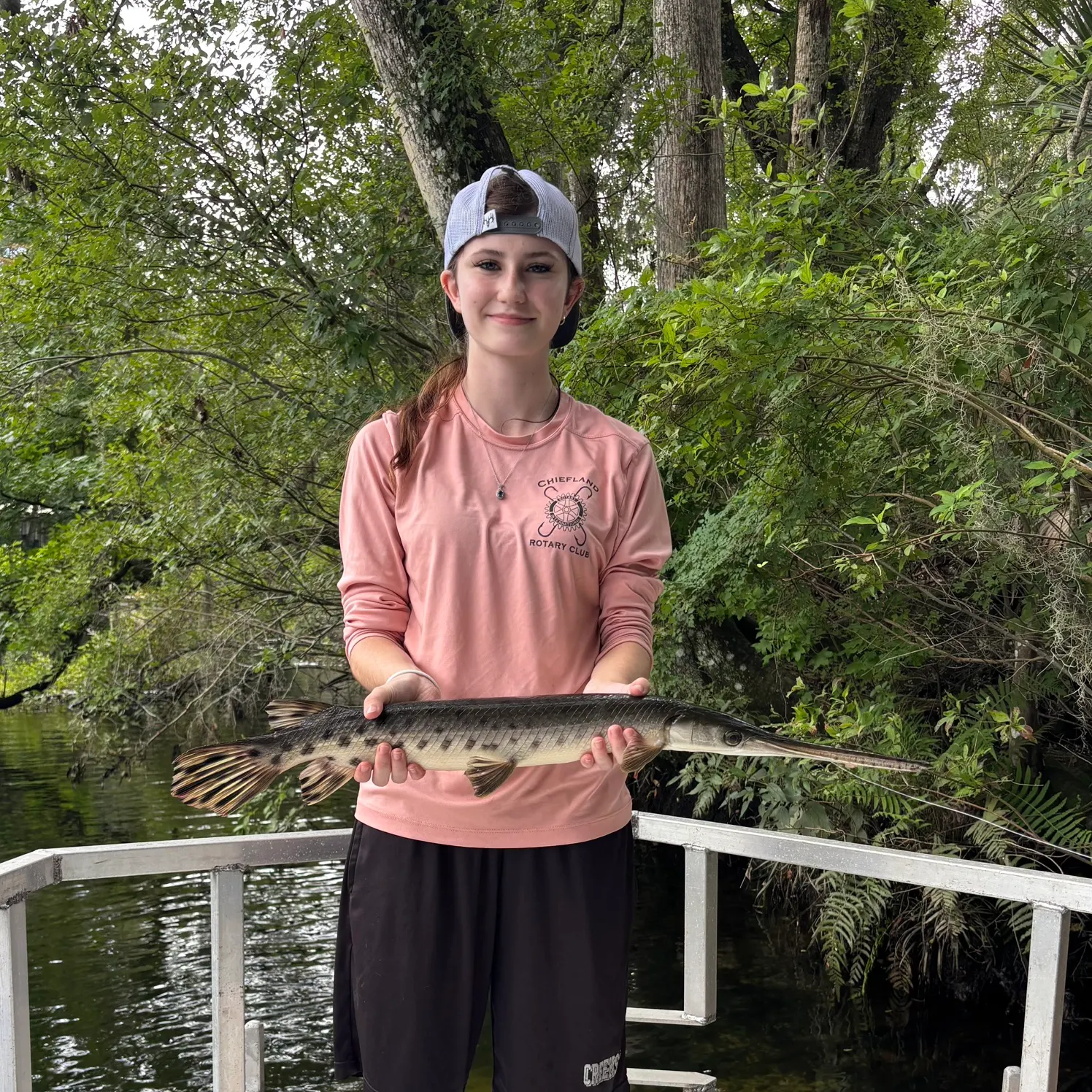Longnose gar caught on Fishbrain