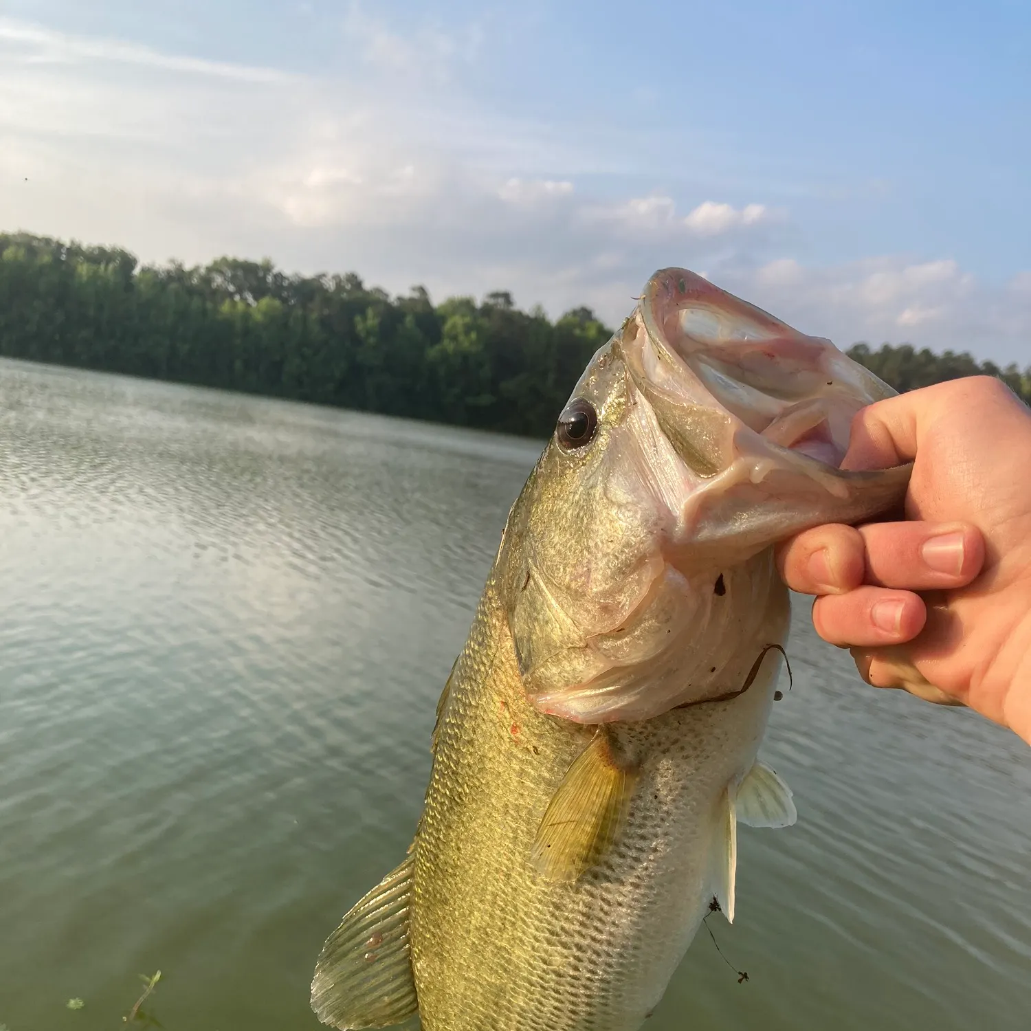 angler catch