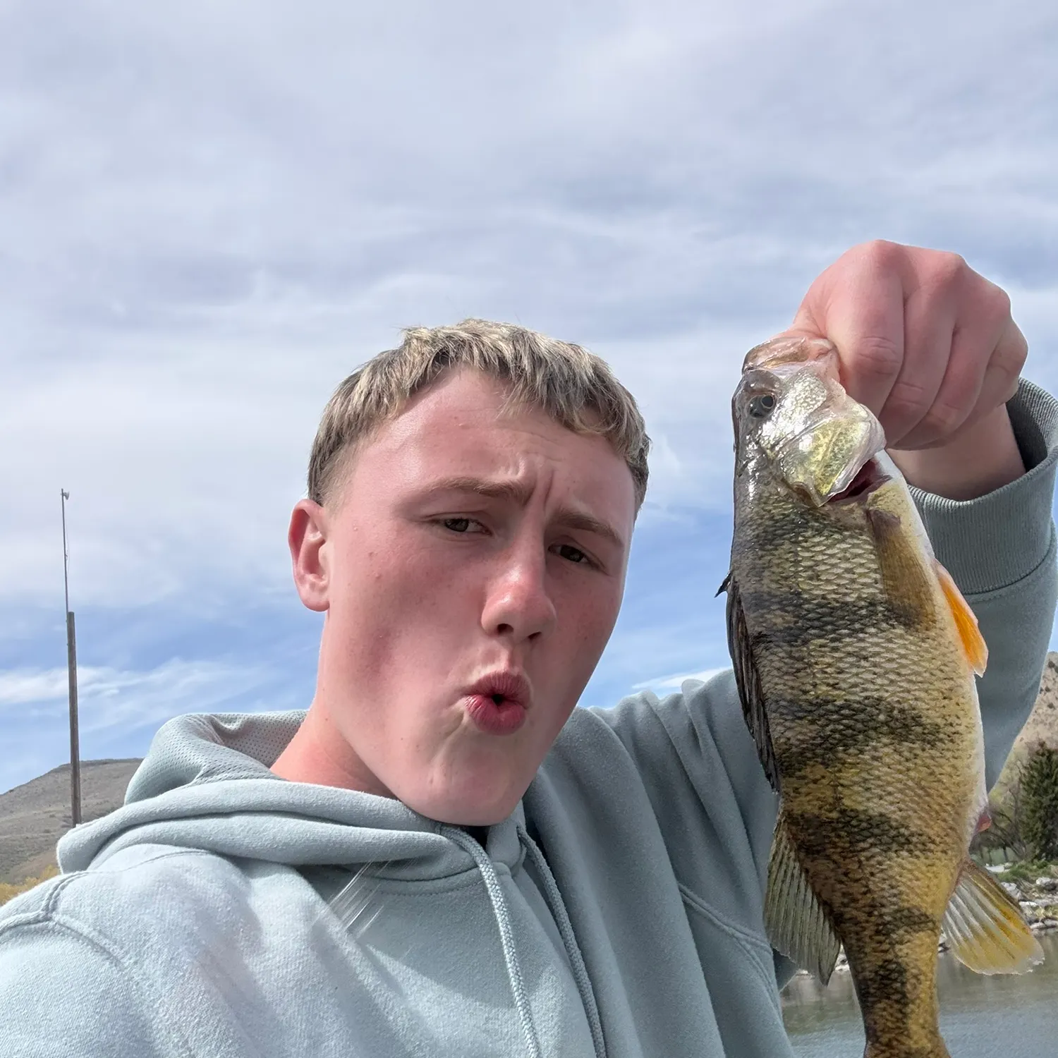 The most recent Yellow perch catches on Fishbrain