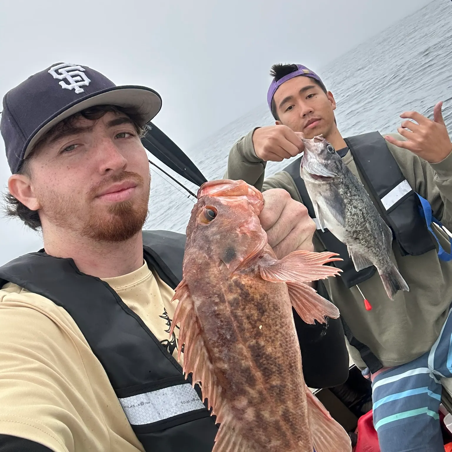 The most recent Brown rockfish catches on Fishbrain