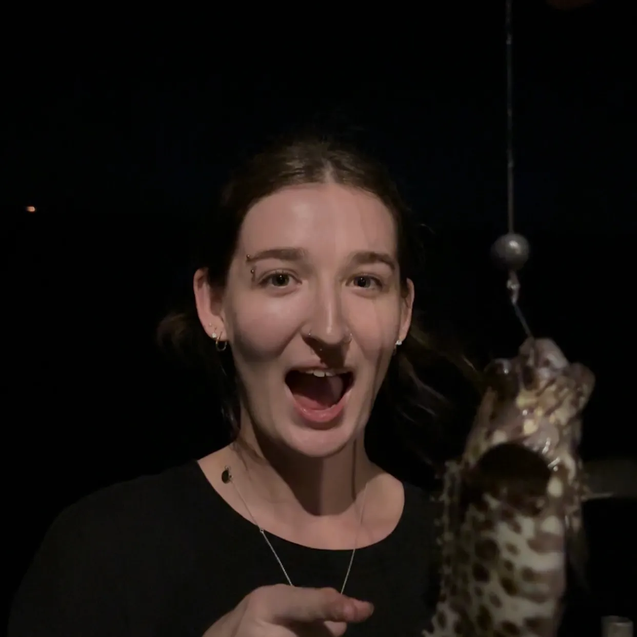 Orange-spotted grouper caught on Fishbrain