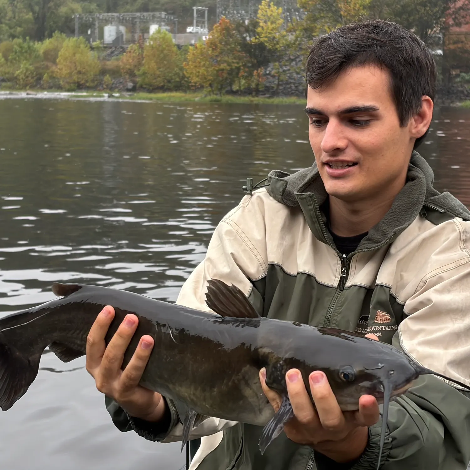 Channel catfish caught on Fishbrain