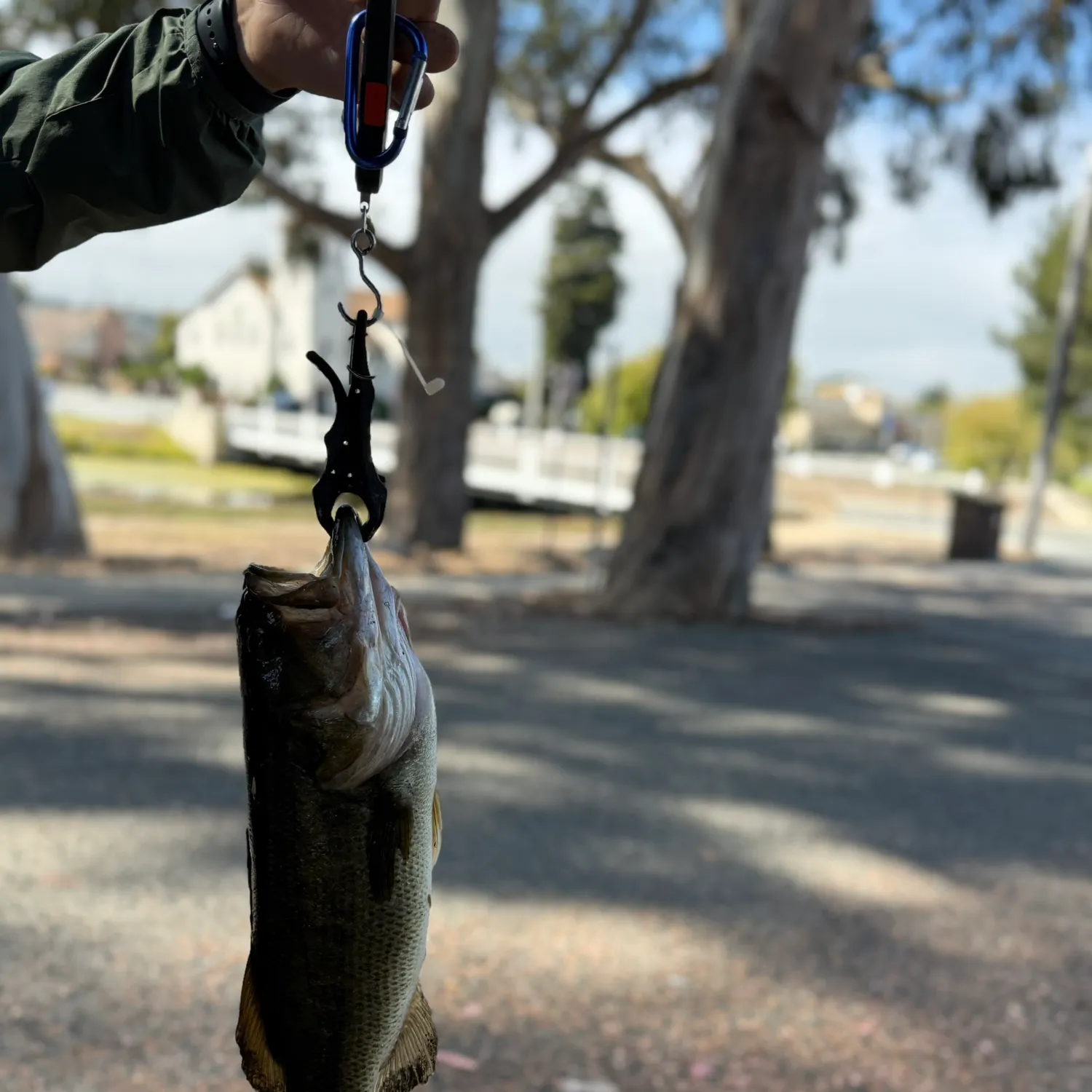 catch
