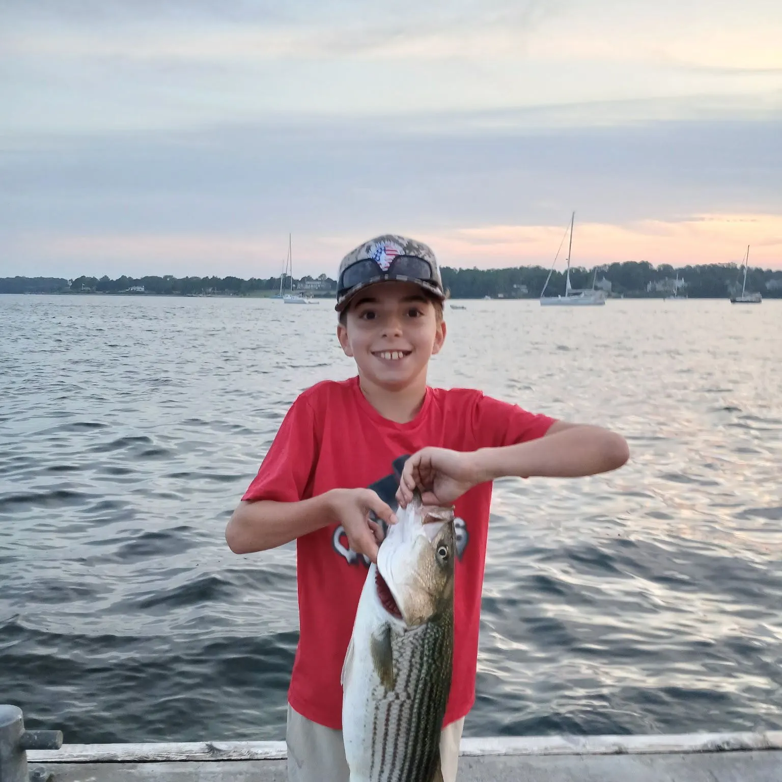 Striped bass caught on Fishbrain