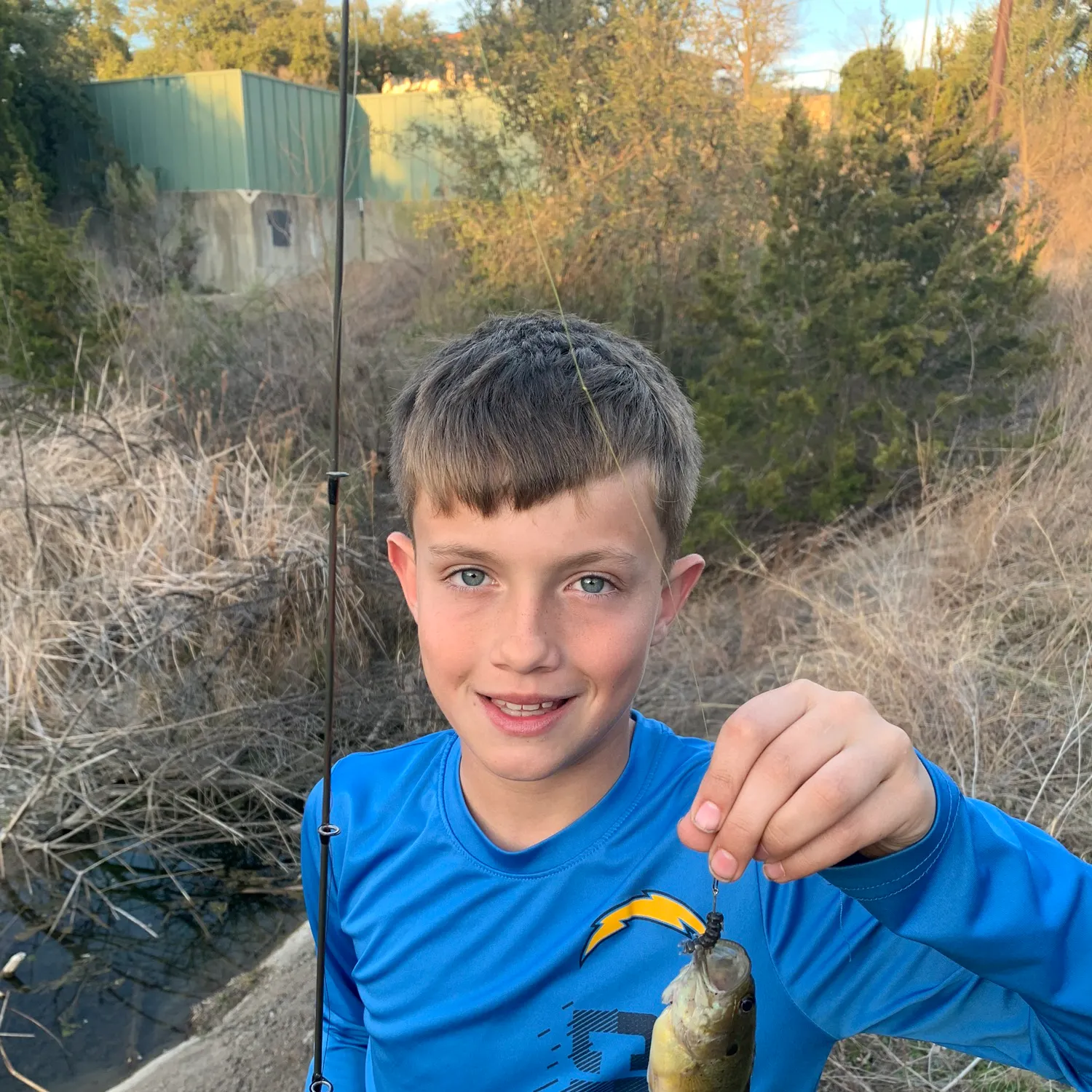 The most recent Green sunfish catches on Fishbrain
