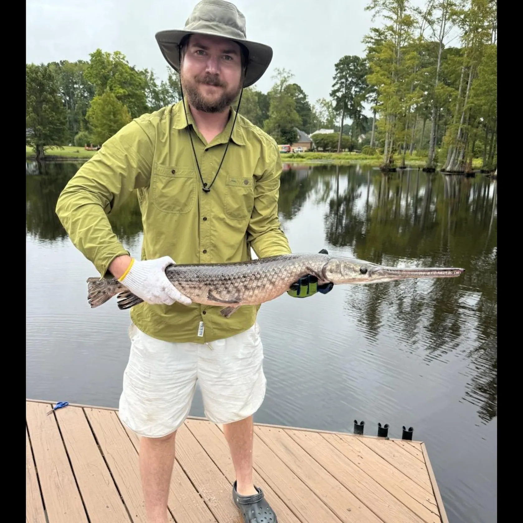 The most recent Longnose gar catches on Fishbrain