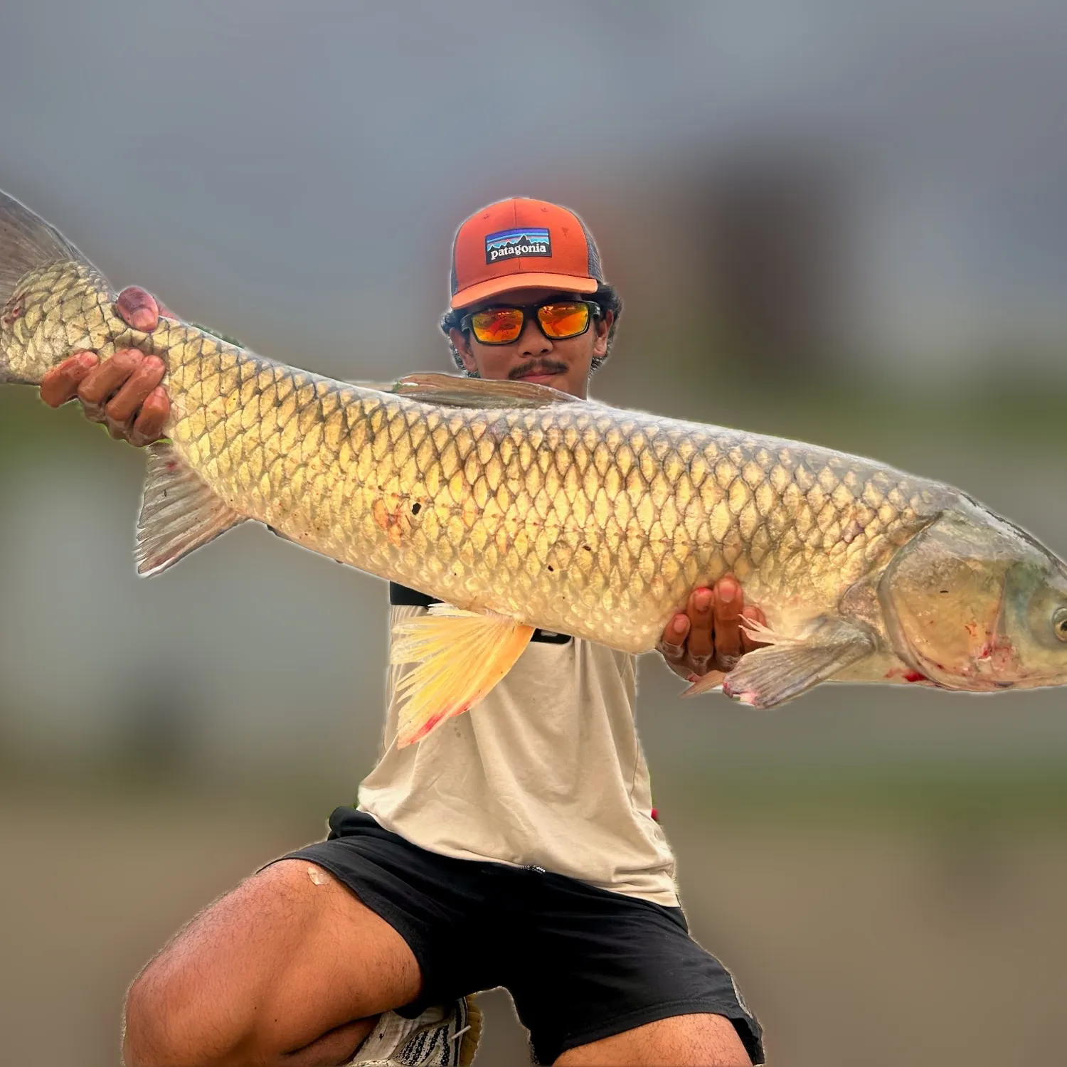 Grass carp caught on Fishbrain