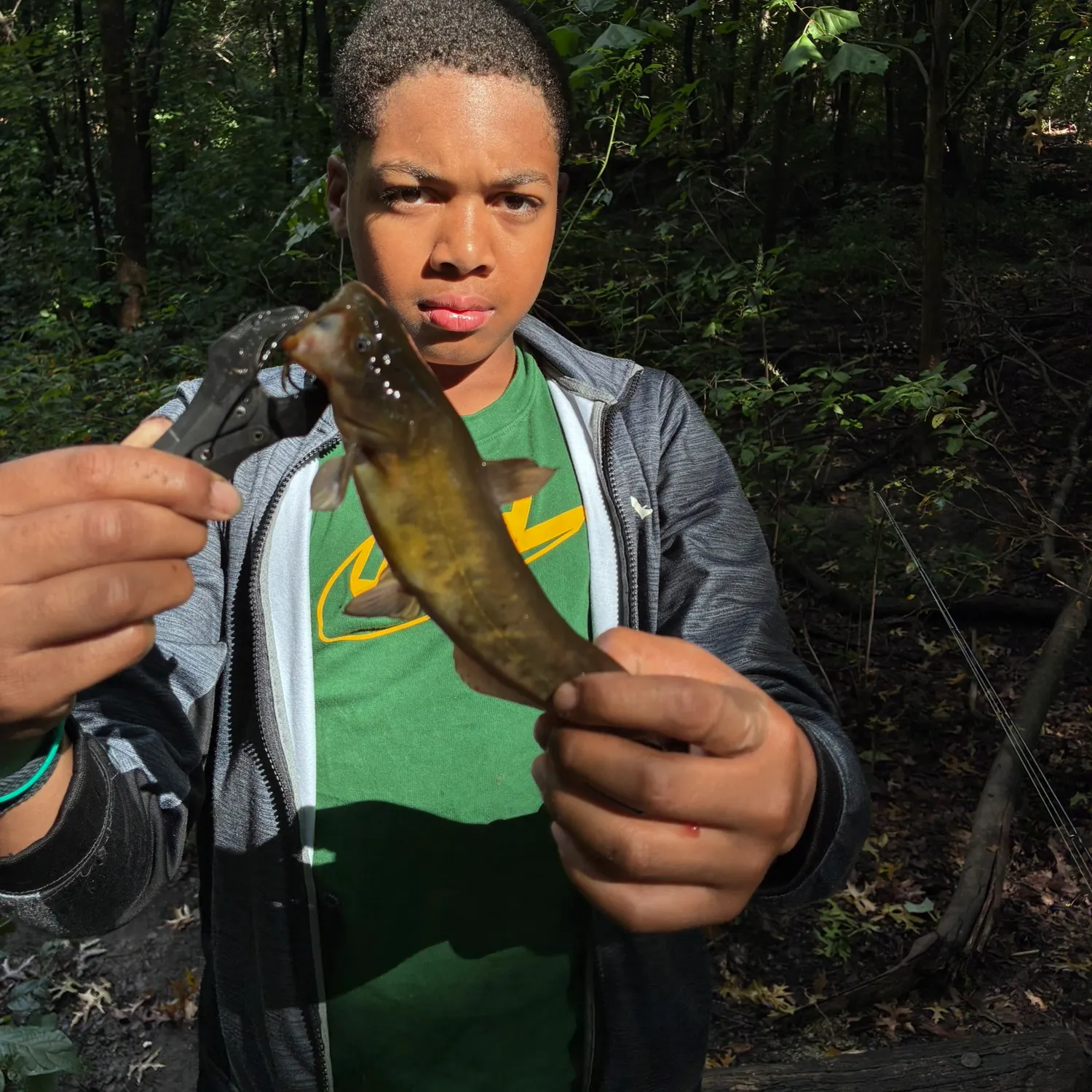 Brown bullhead caught on Fishbrain