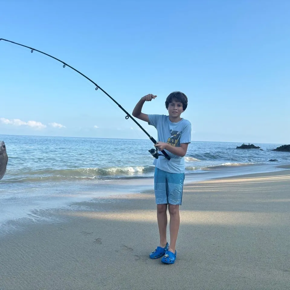 Atlantic croaker caught on Fishbrain