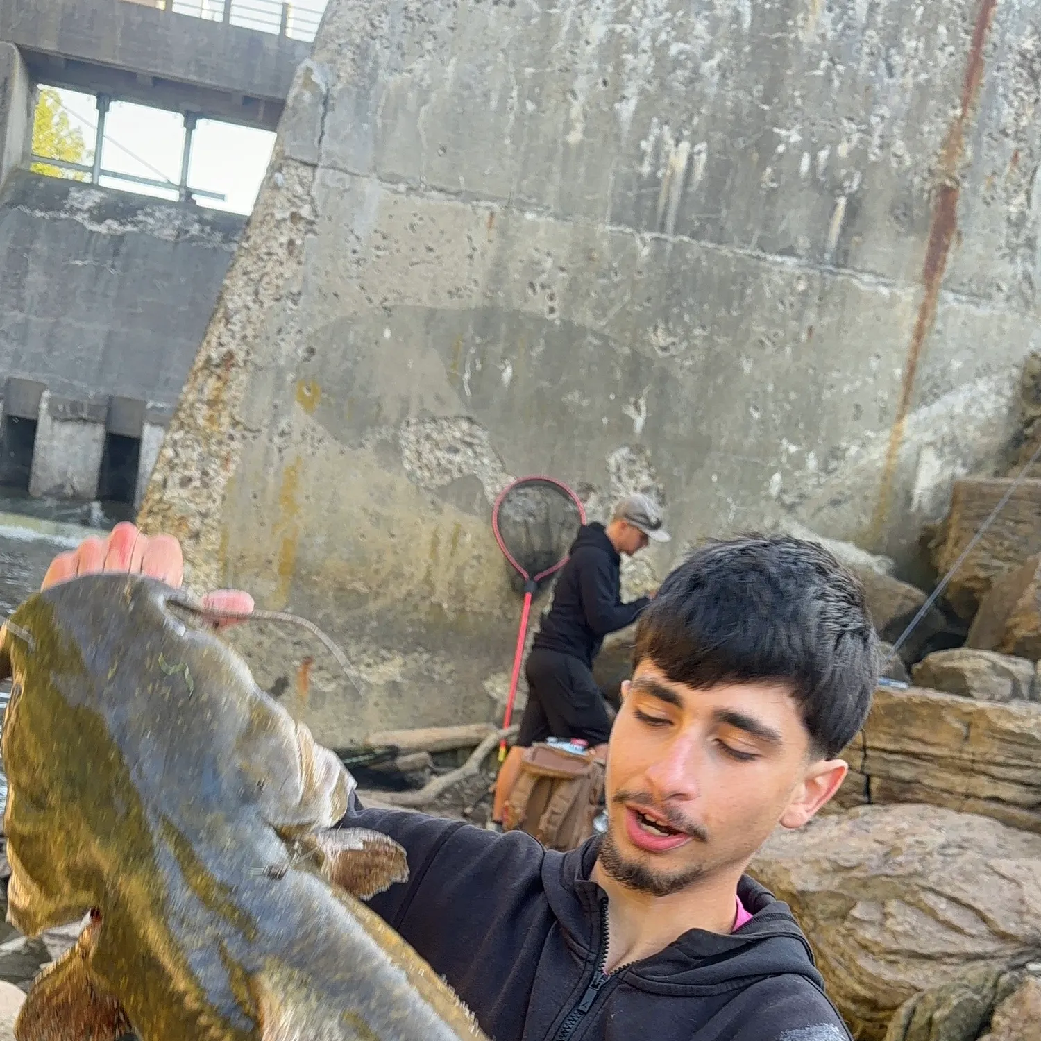 Flathead catfish caught on Fishbrain
