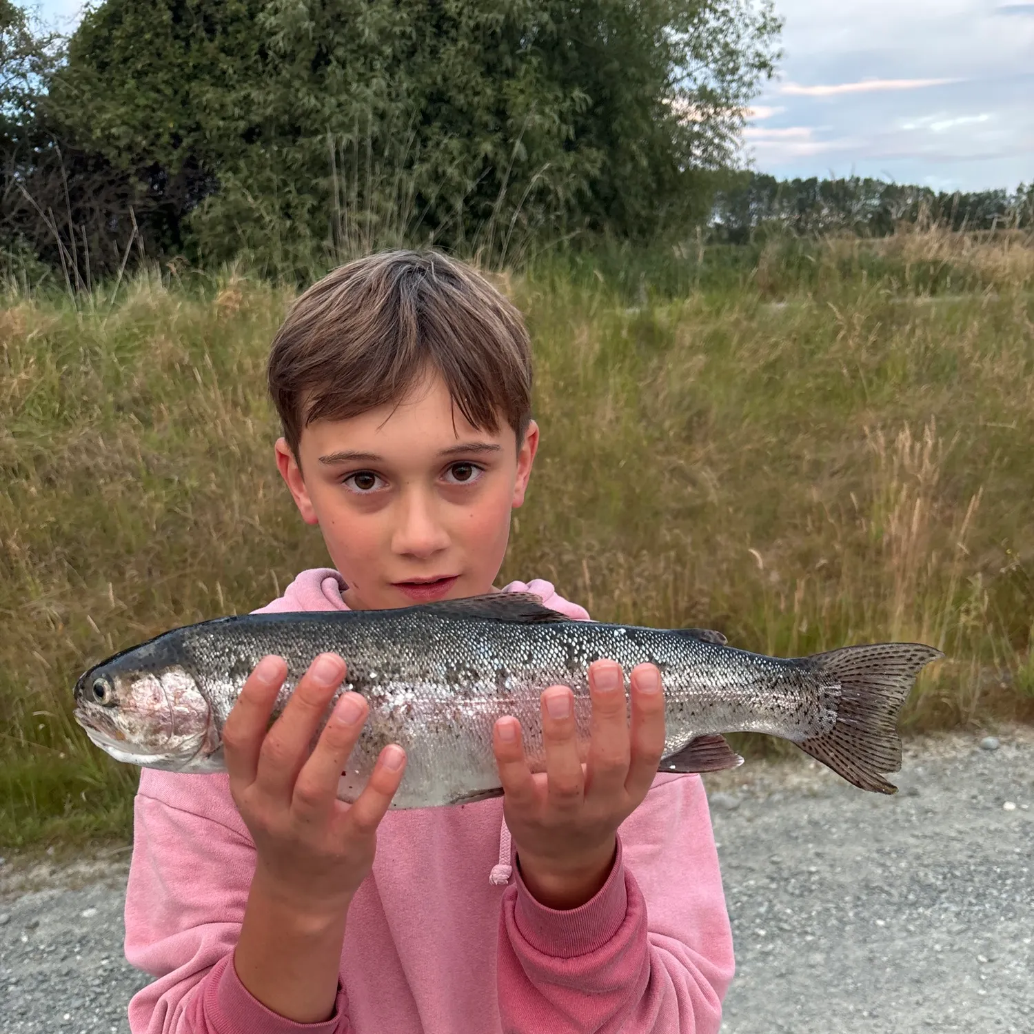 The most recent Rainbow trout catches on Fishbrain