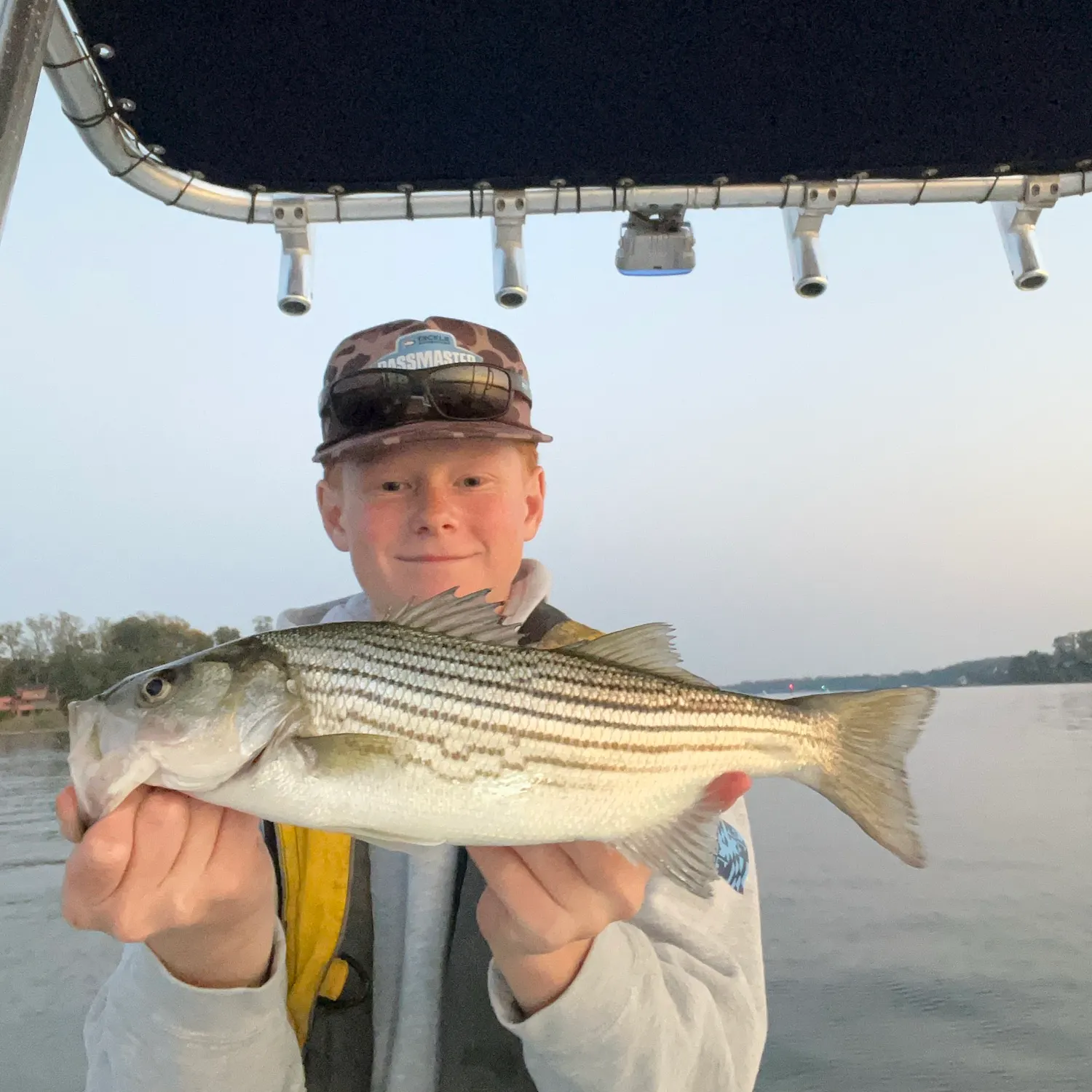 Striped bass caught on Fishbrain