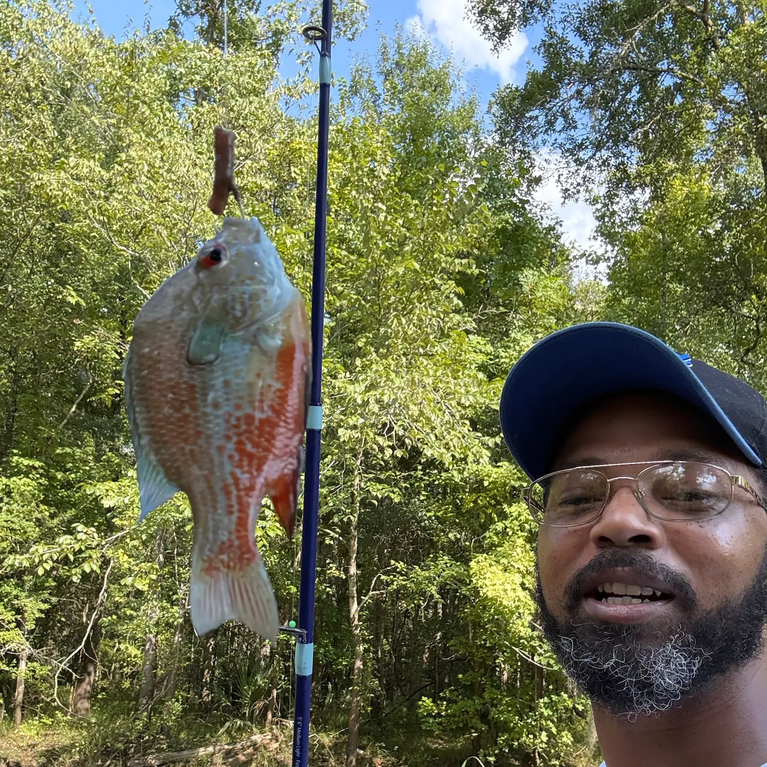 Redbreast sunfish caught on Fishbrain
