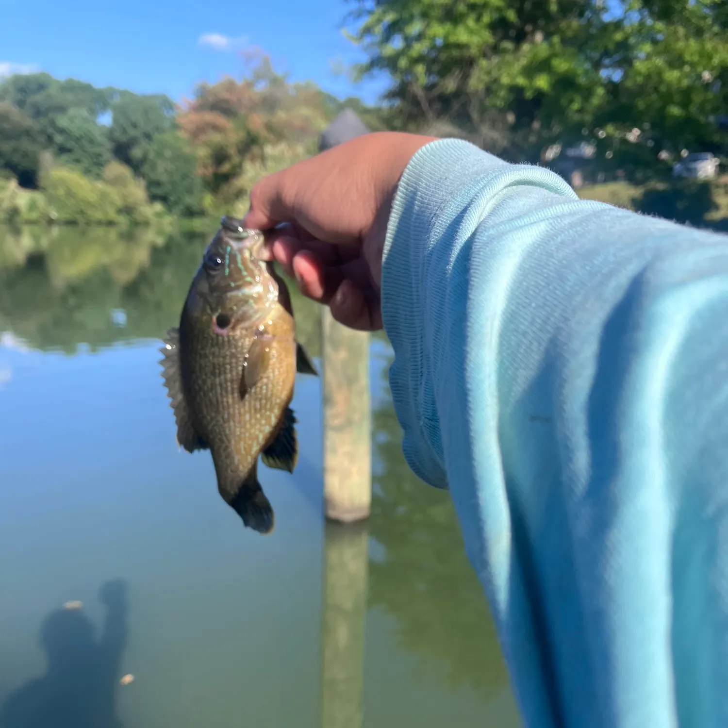 catch