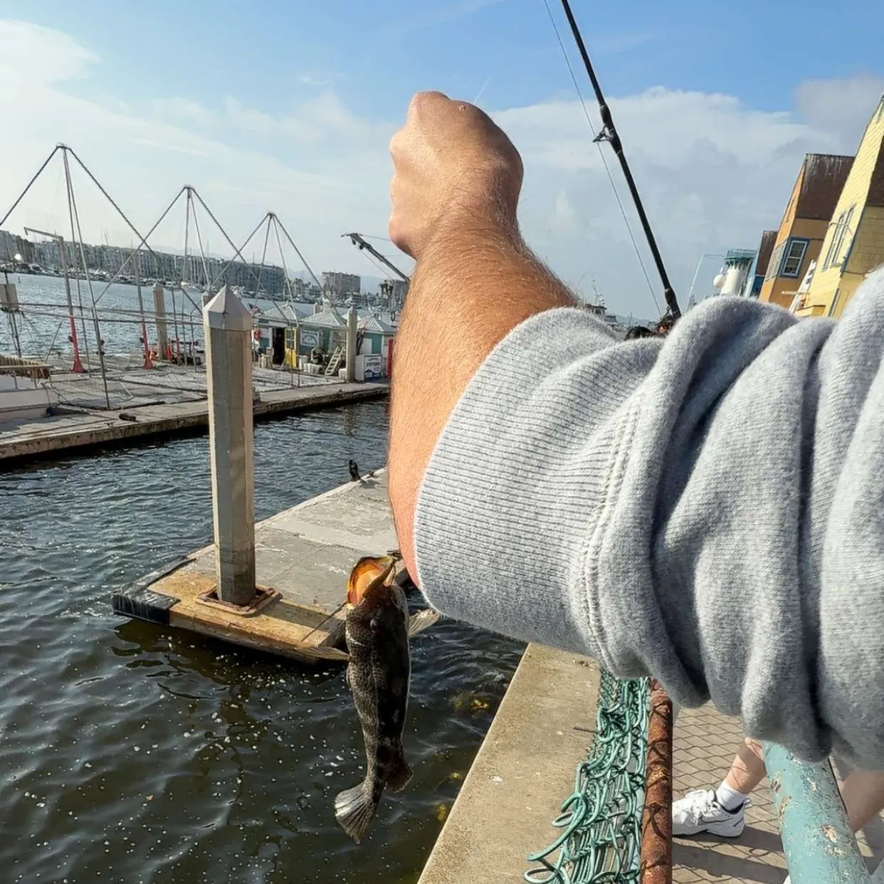 catch