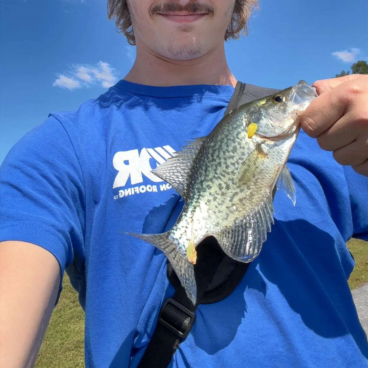 Black crappie caught on Fishbrain