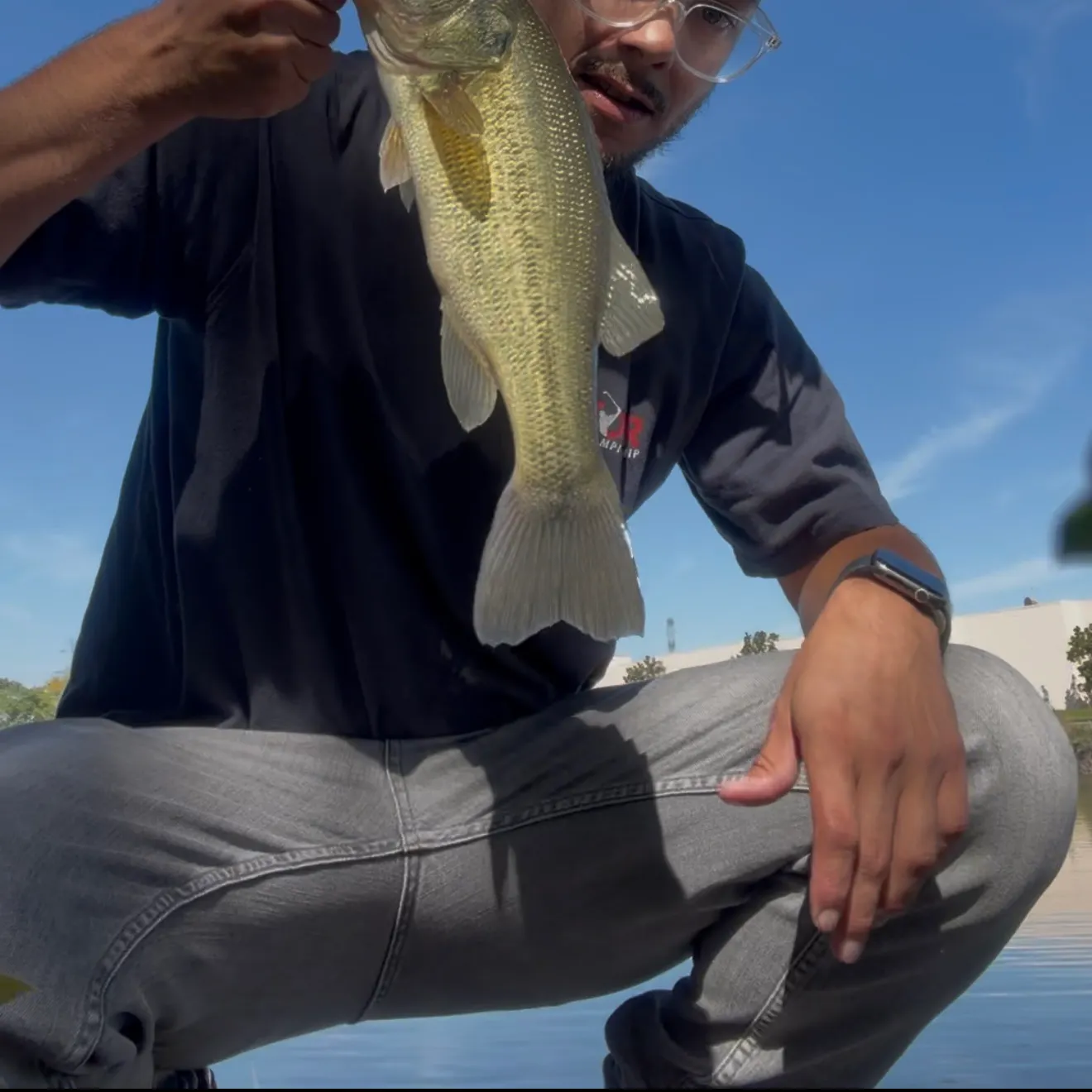 Largemouth bass caught on Fishbrain