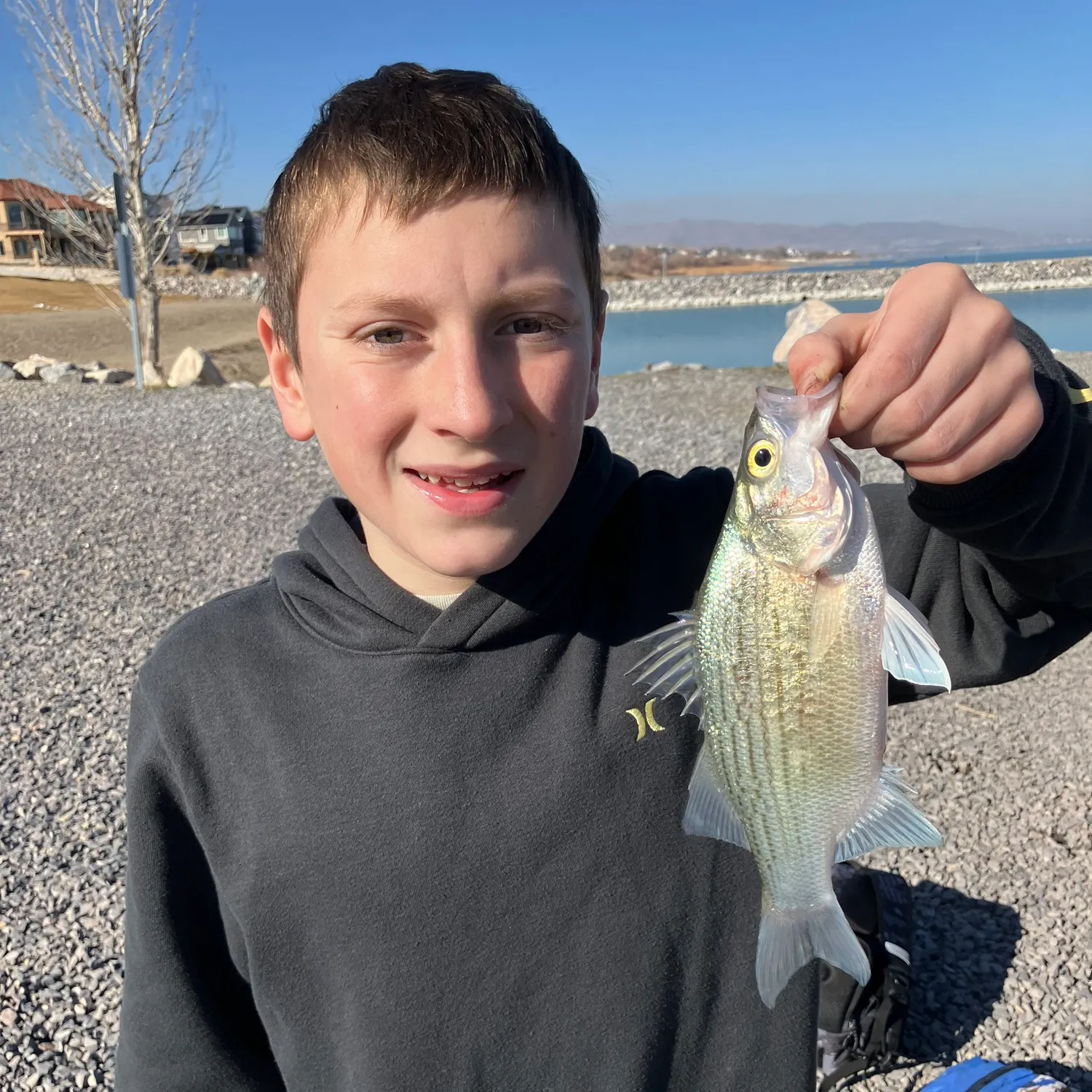 The most recent White bass catches on Fishbrain