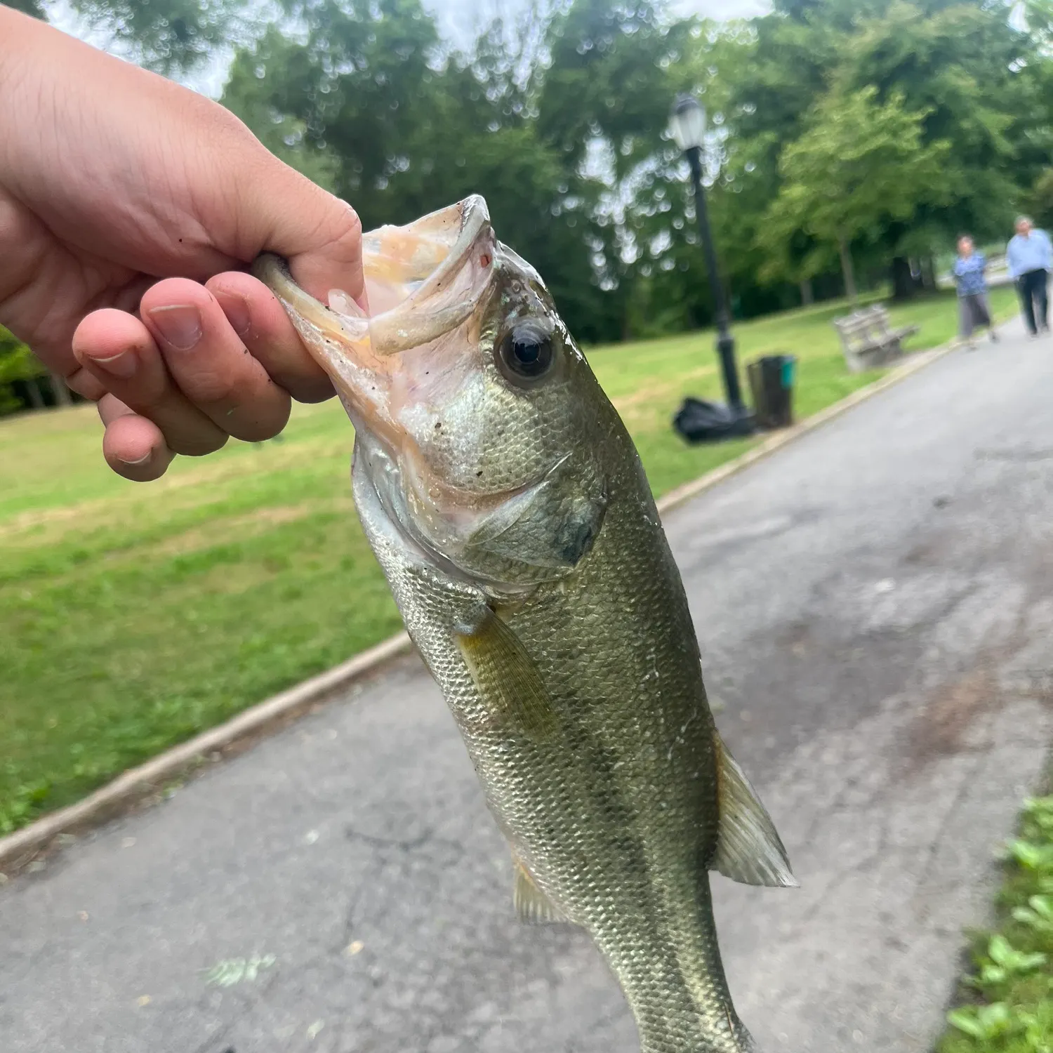 catch