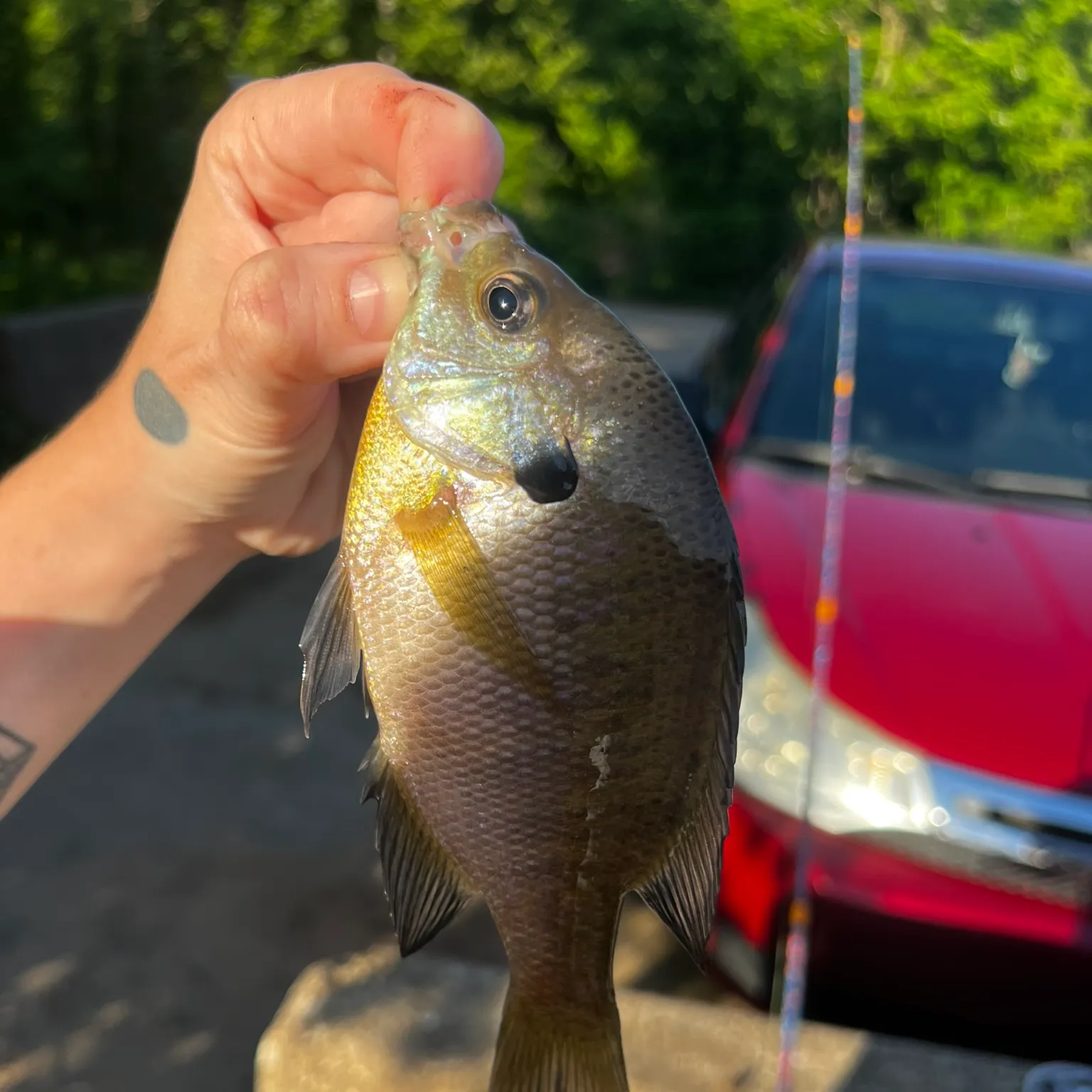 catch