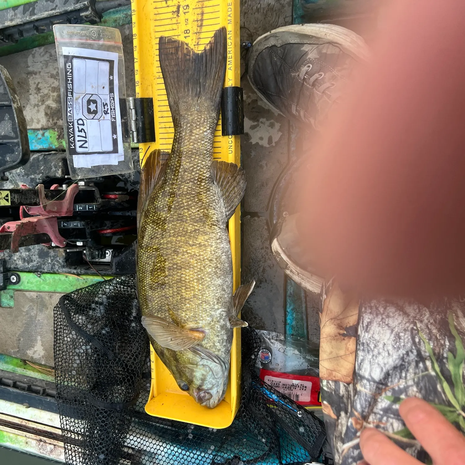 Smallmouth bass caught on Fishbrain