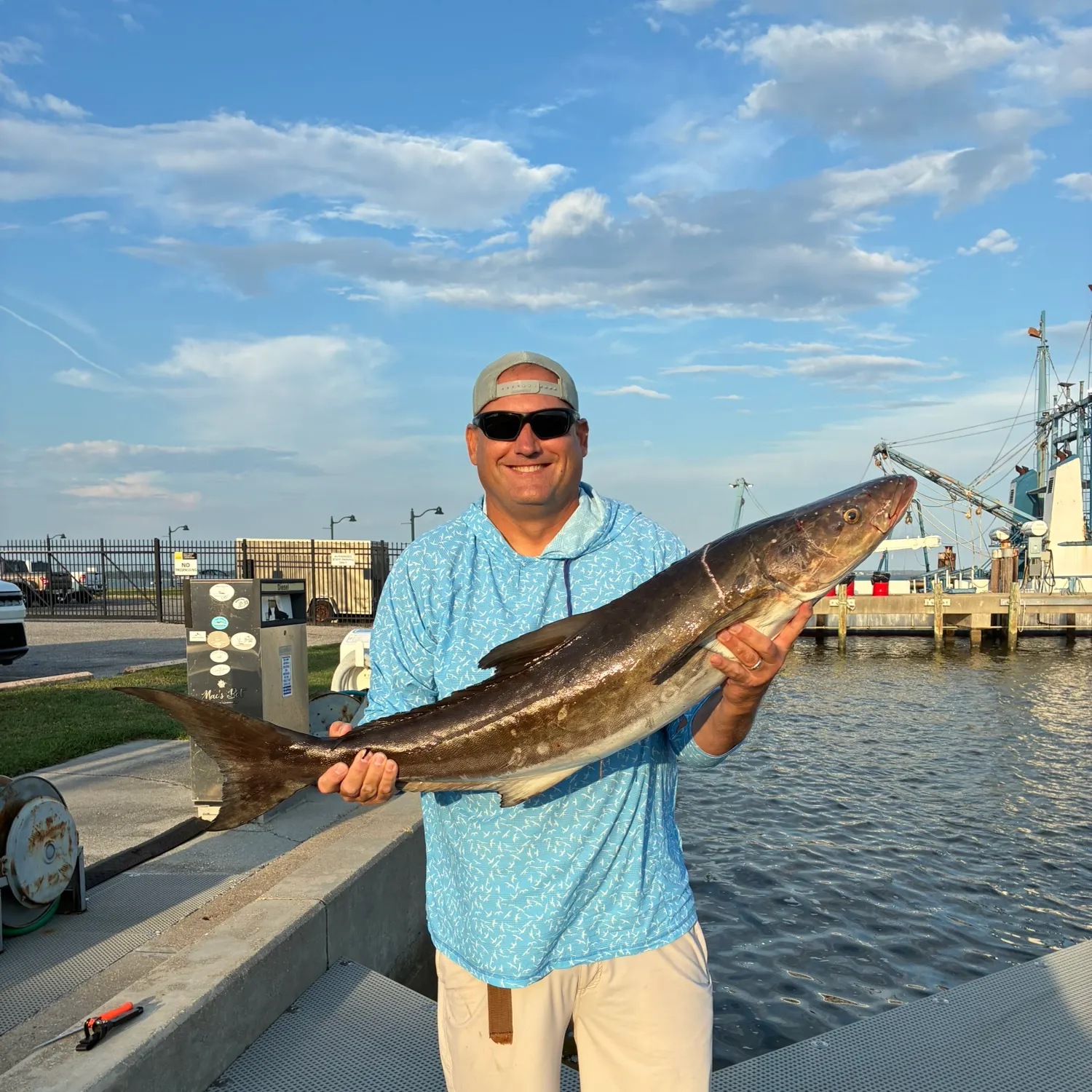 Cobia caught on Fishbrain