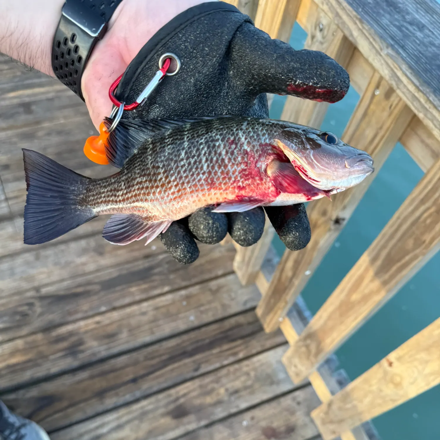 catch