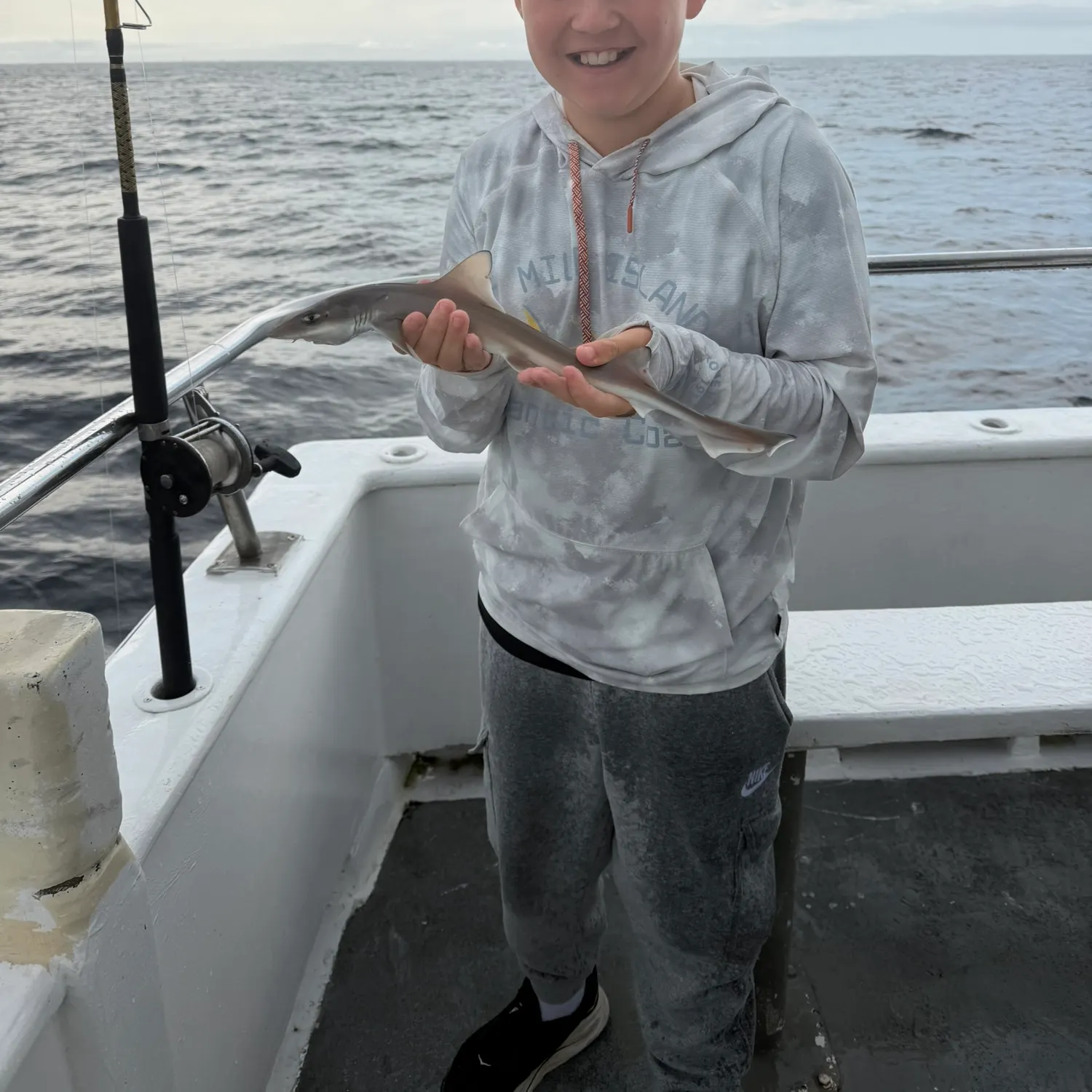 Dusky smooth-hound caught on Fishbrain