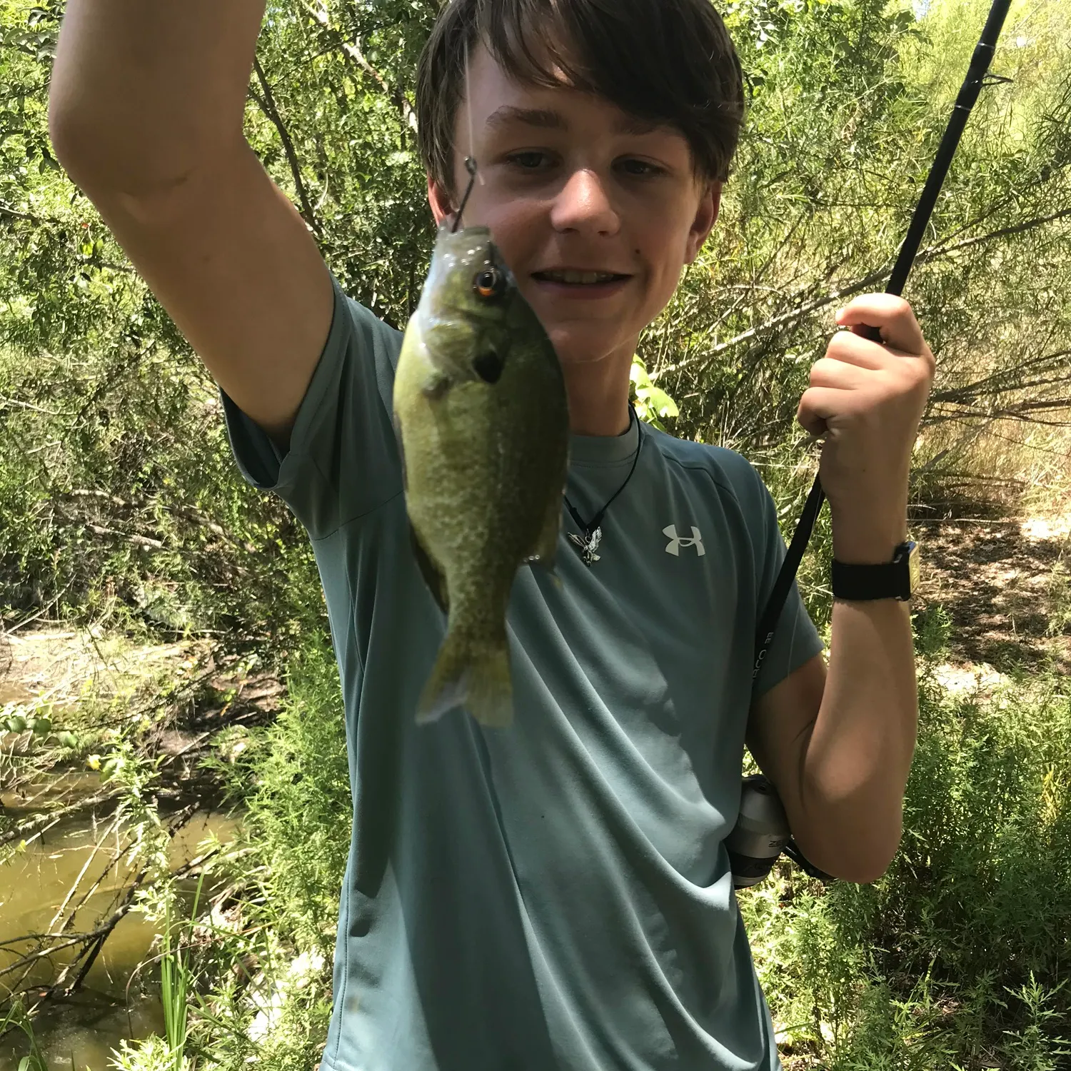 Bluegill caught on Fishbrain