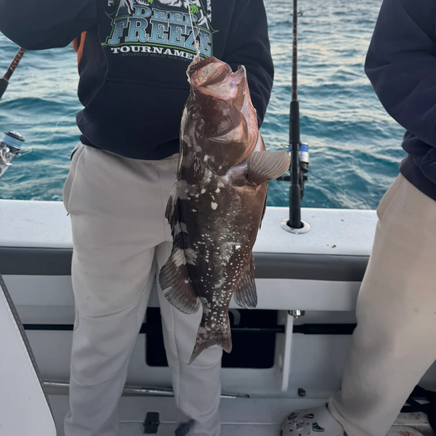 The most recent Red grouper catches on Fishbrain