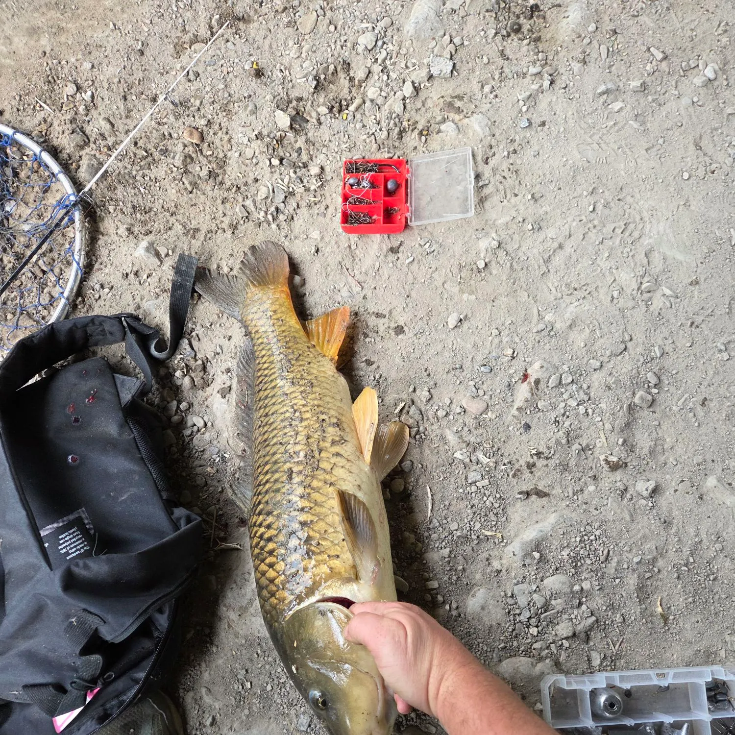 catch