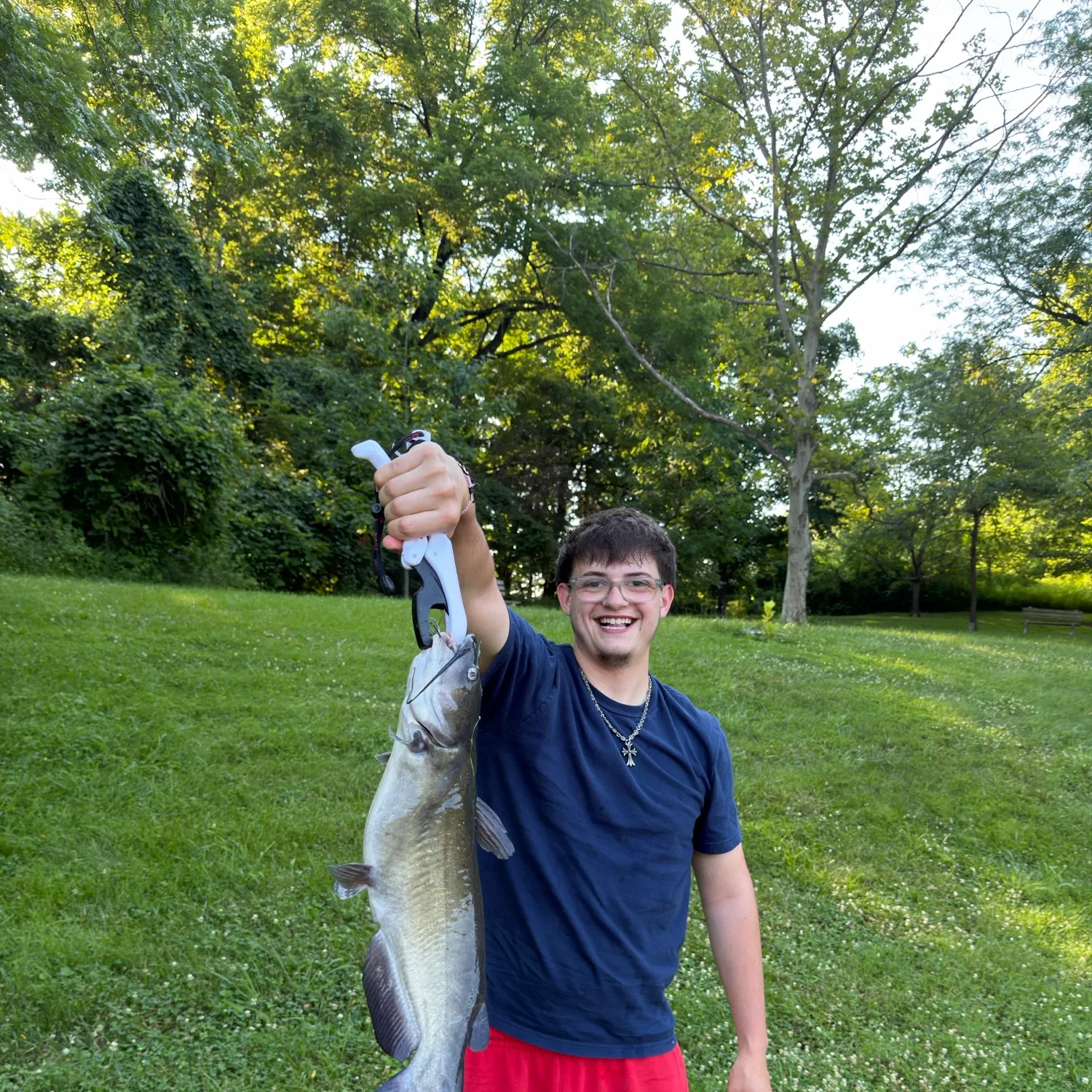 Channel catfish caught on Fishbrain