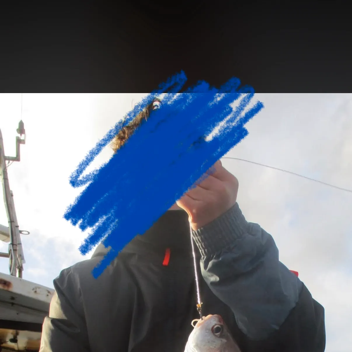 The most recent Pouting catches on Fishbrain