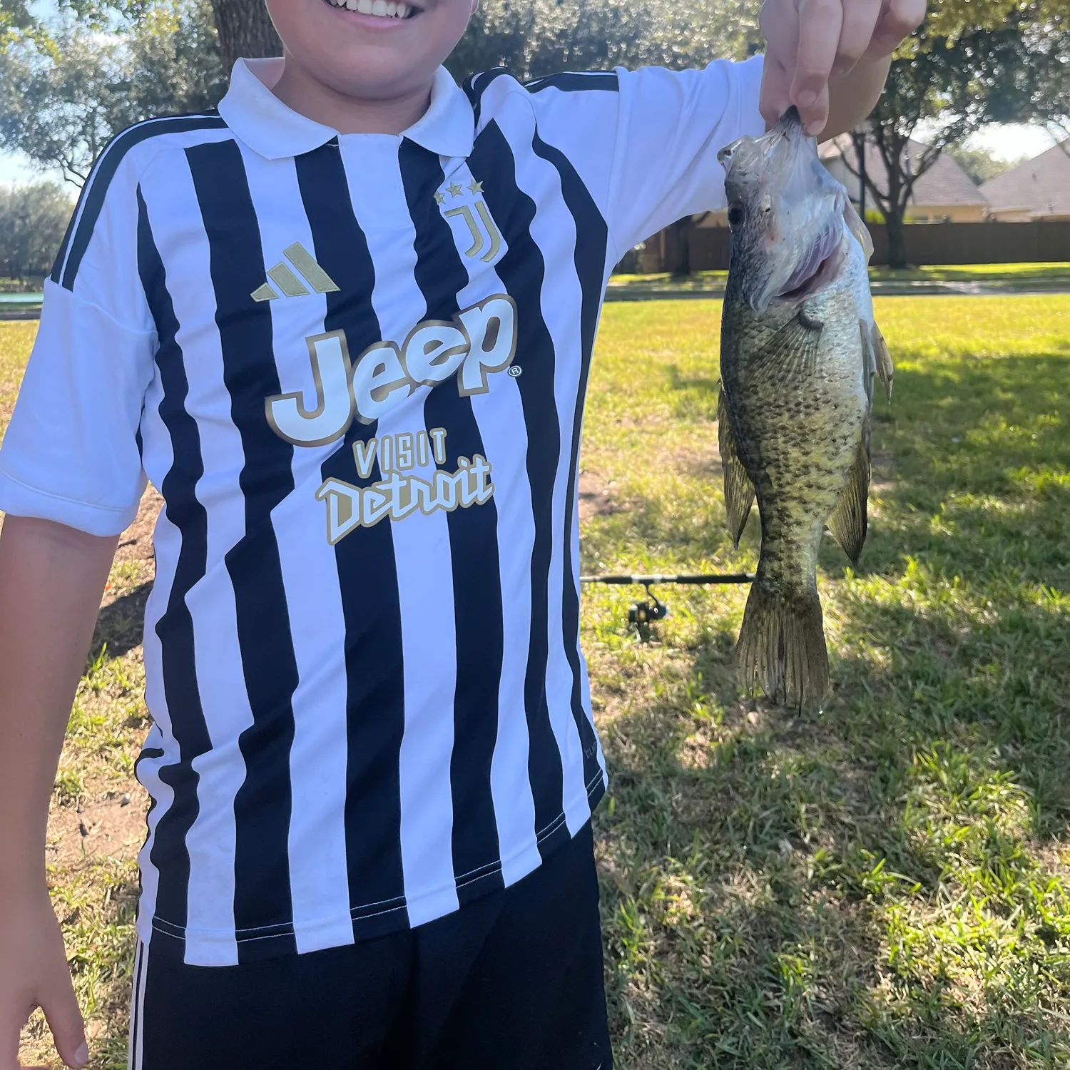 Black crappie caught on Fishbrain