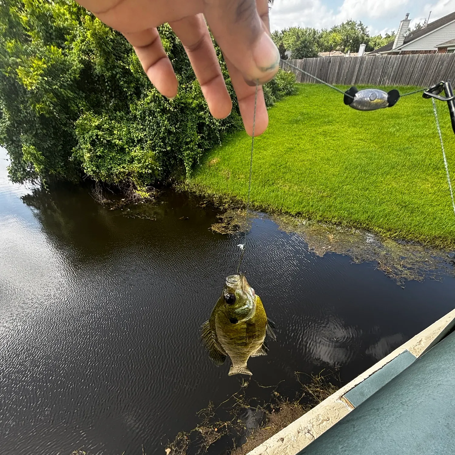 catch