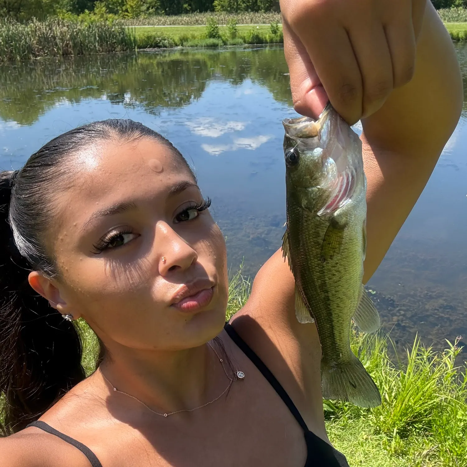 Largemouth bass caught on Fishbrain