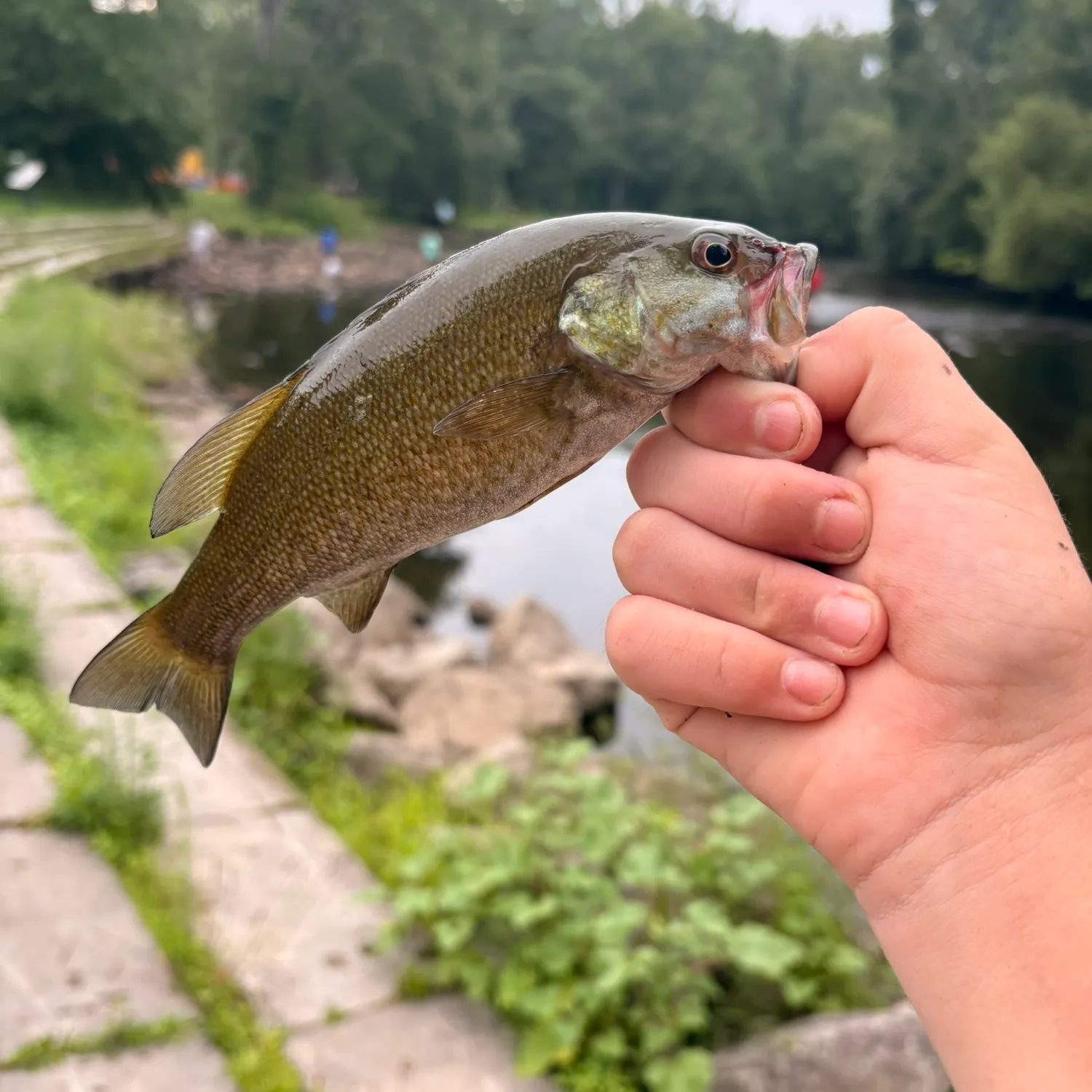 catch