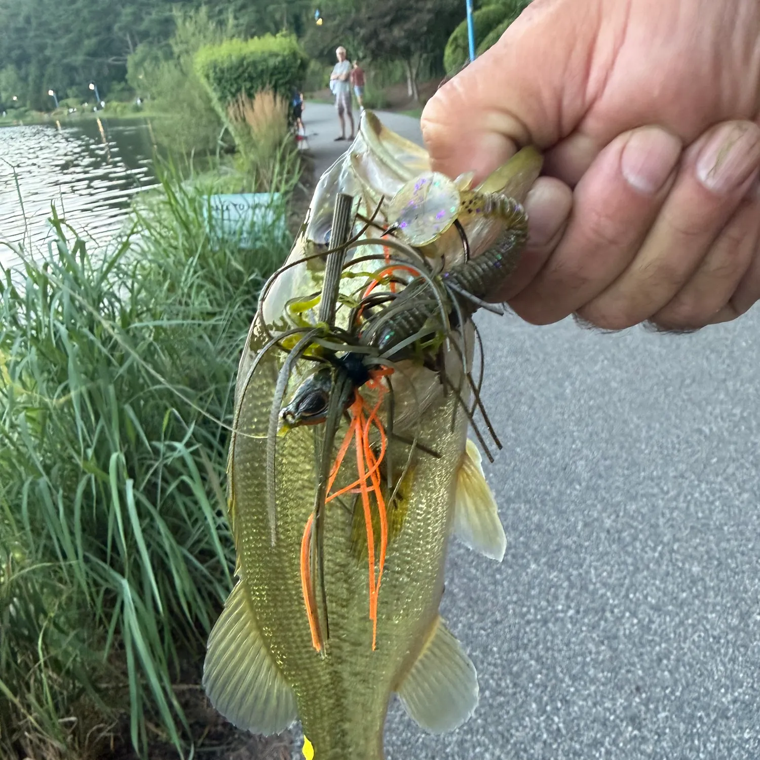 catch