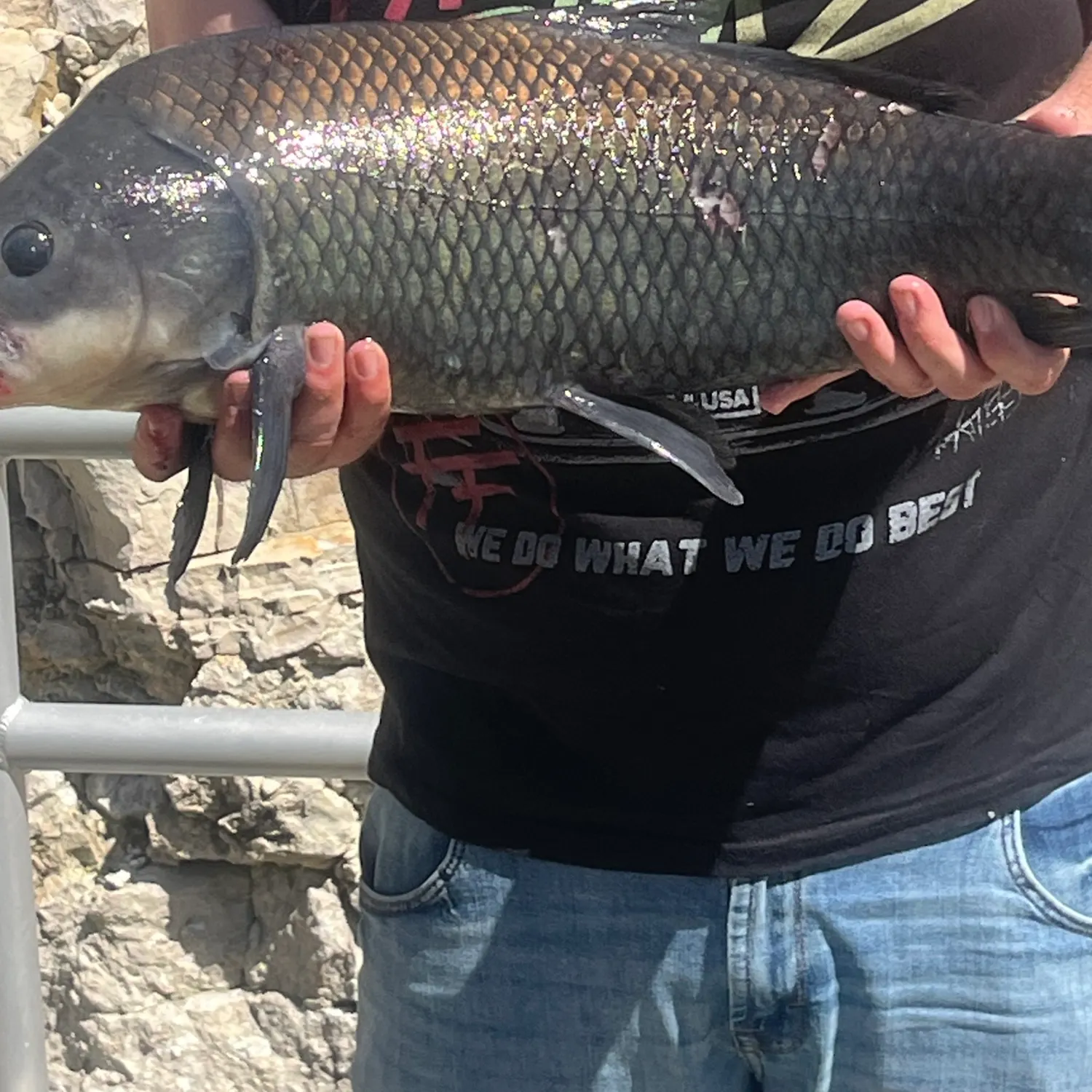 most liked catch image