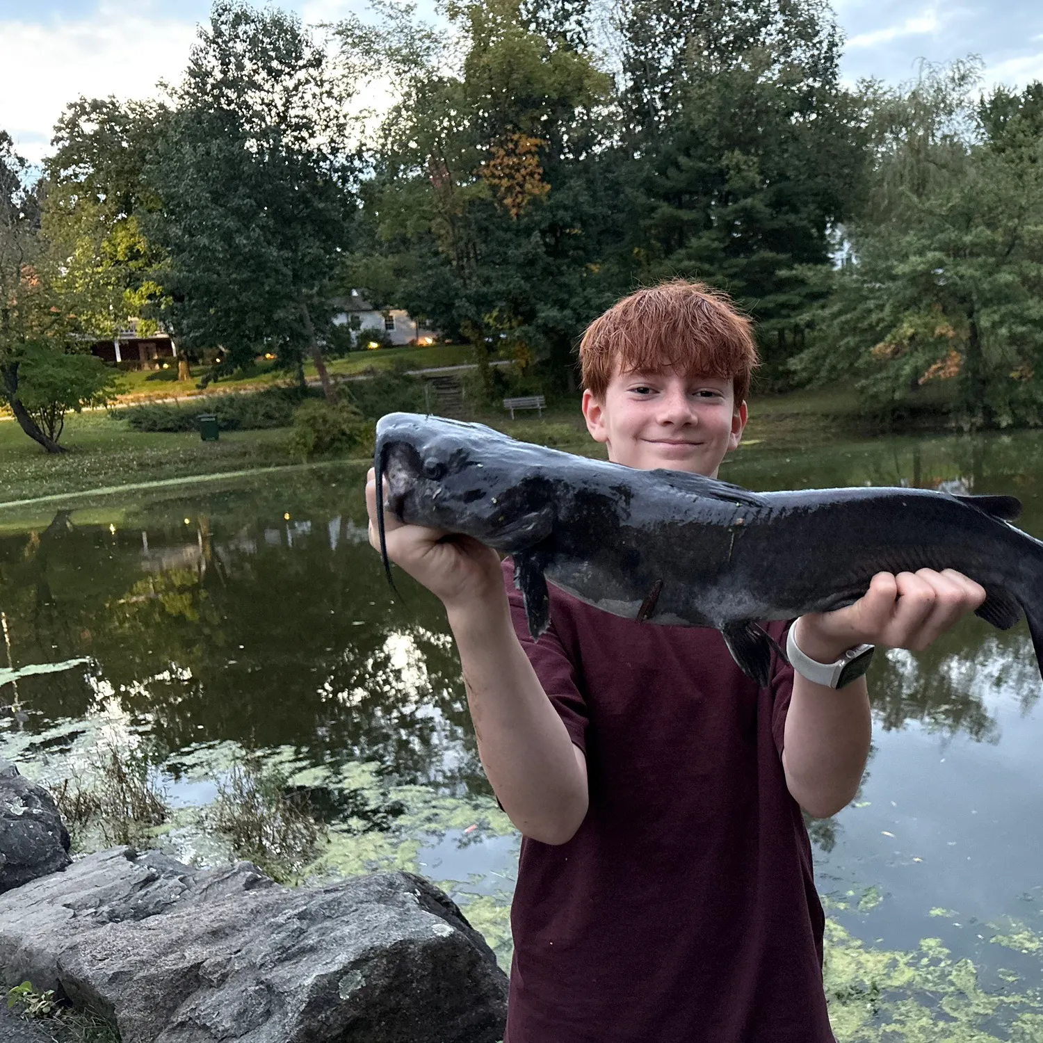Channel catfish caught on Fishbrain