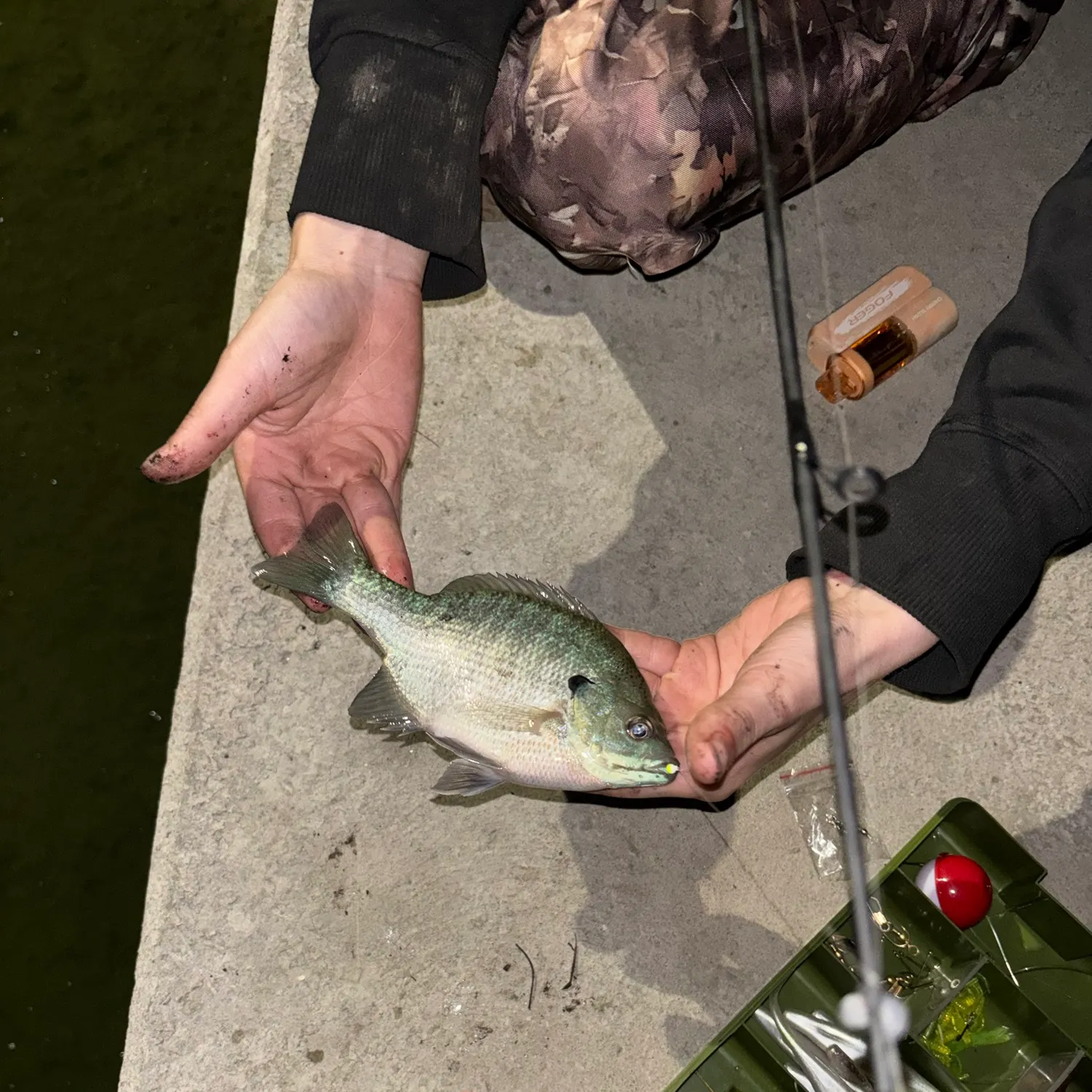 catch