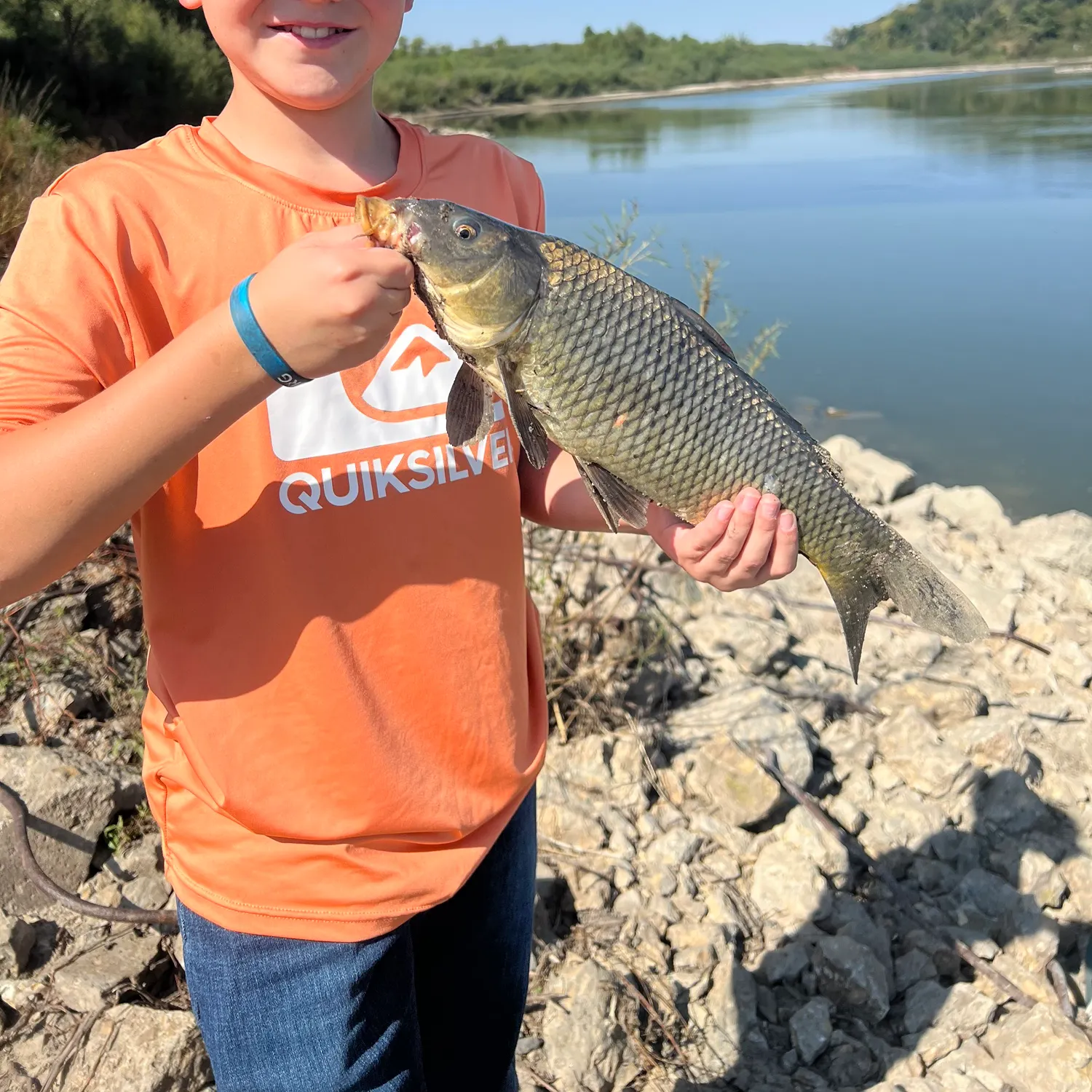 The most recent Common carp catches on Fishbrain