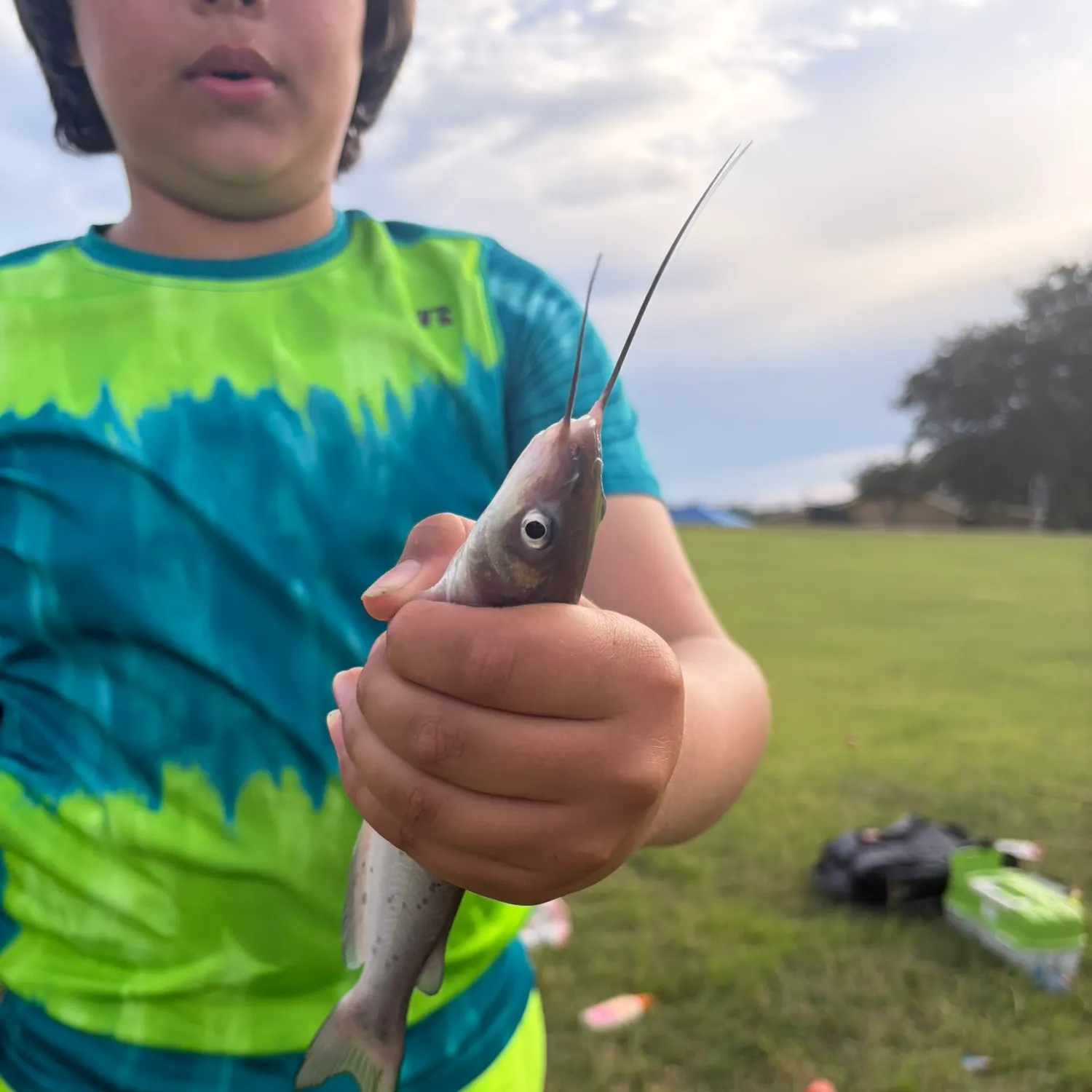 catch